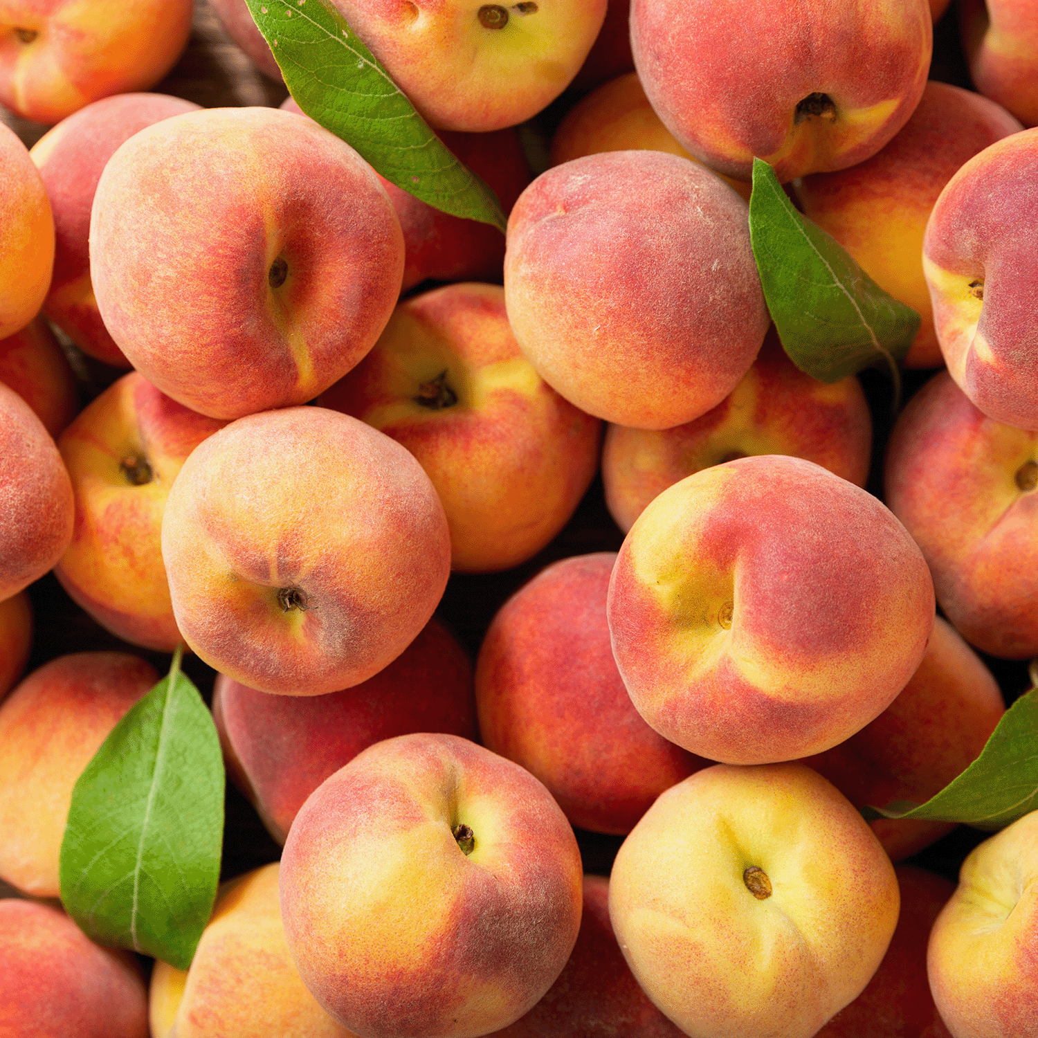 A close-up of Paradise Peach: Passionfruit & Peach Scented Summer Candle (18 oz) by Tuscany Candle® SEASONAL, featuring its peach-inspired design with fuzzy details and green leaf accents.