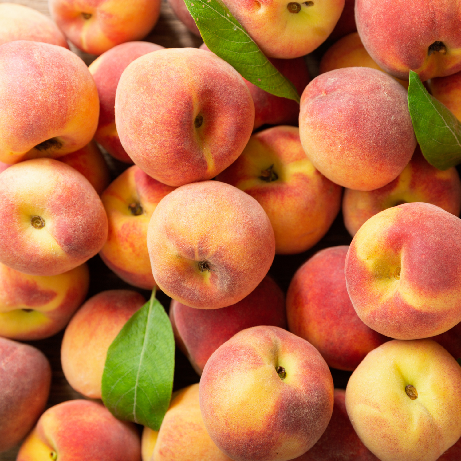 Paradise Peach: Passionfruit & Peach Scented Summer Wax Melt (2.5 oz)