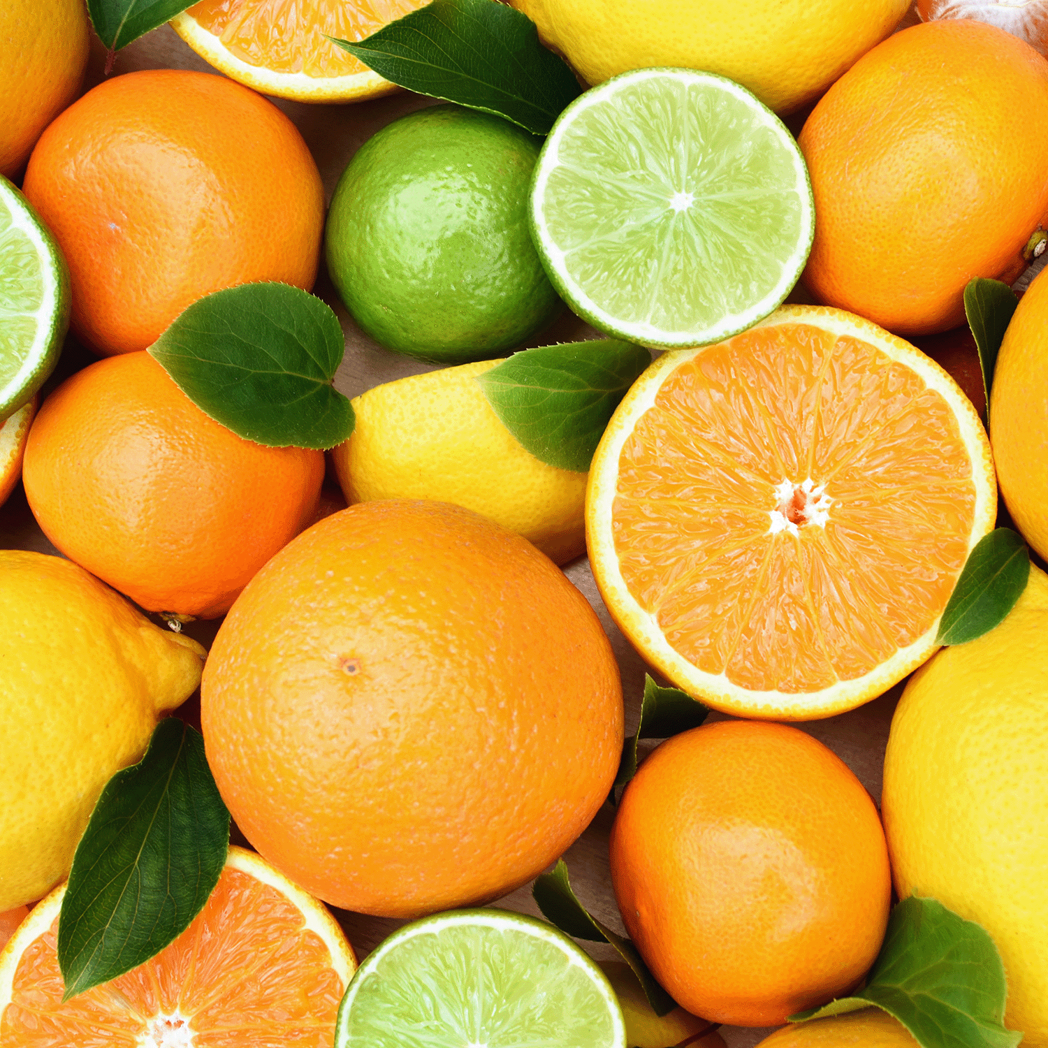 Frosted Limeade: Lemon & Lime Scented Candle (12 oz) by Tuscany Candle® SEASONAL, part of the Gourmet Sorbet Collection, features a fresh citrus aroma with hints of oranges, lemons, and limes for a vibrant, refreshing atmosphere.