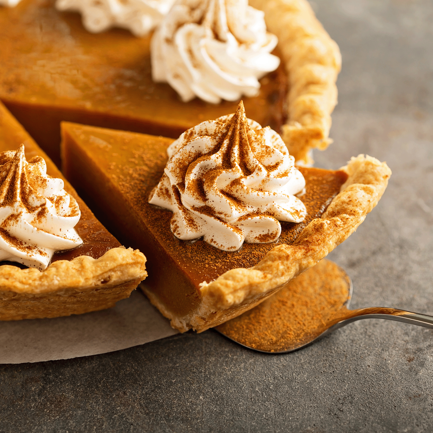 A slice of pumpkin pie with whipped cream is served, evoking the cozy aroma of Tuscany Candle® SEASONAL Pumpkin Cheesecake: Vanilla & Roasted Cinnamon Scented Fall Candle (14 oz).