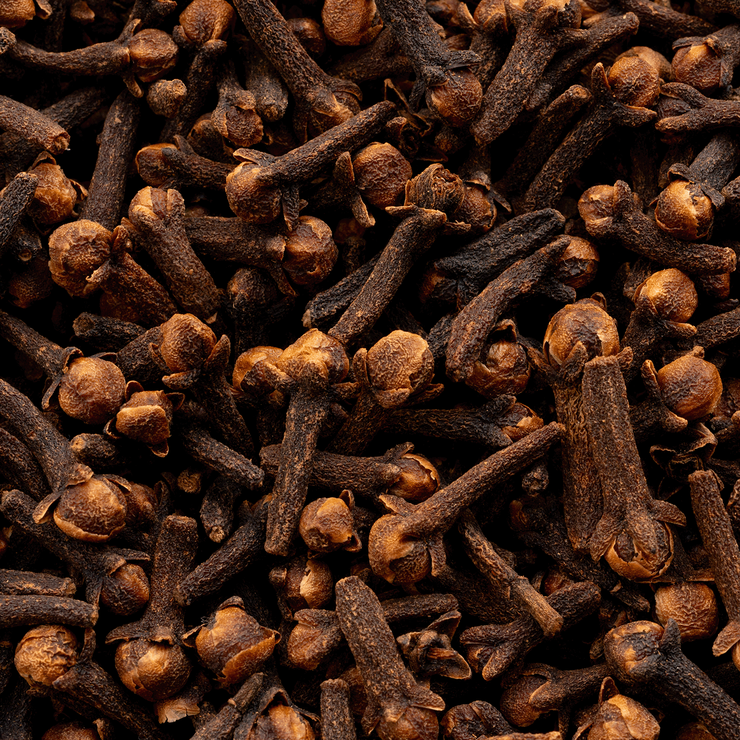 A close-up of dried cloves highlights their rich color and unique shape, inspiring the Tuscany Candle® SEASONAL Apple Cider: Sugared Ginger & Cinnamon Scented Fall Candle (14 oz), crafted from a cozy soy wax blend.