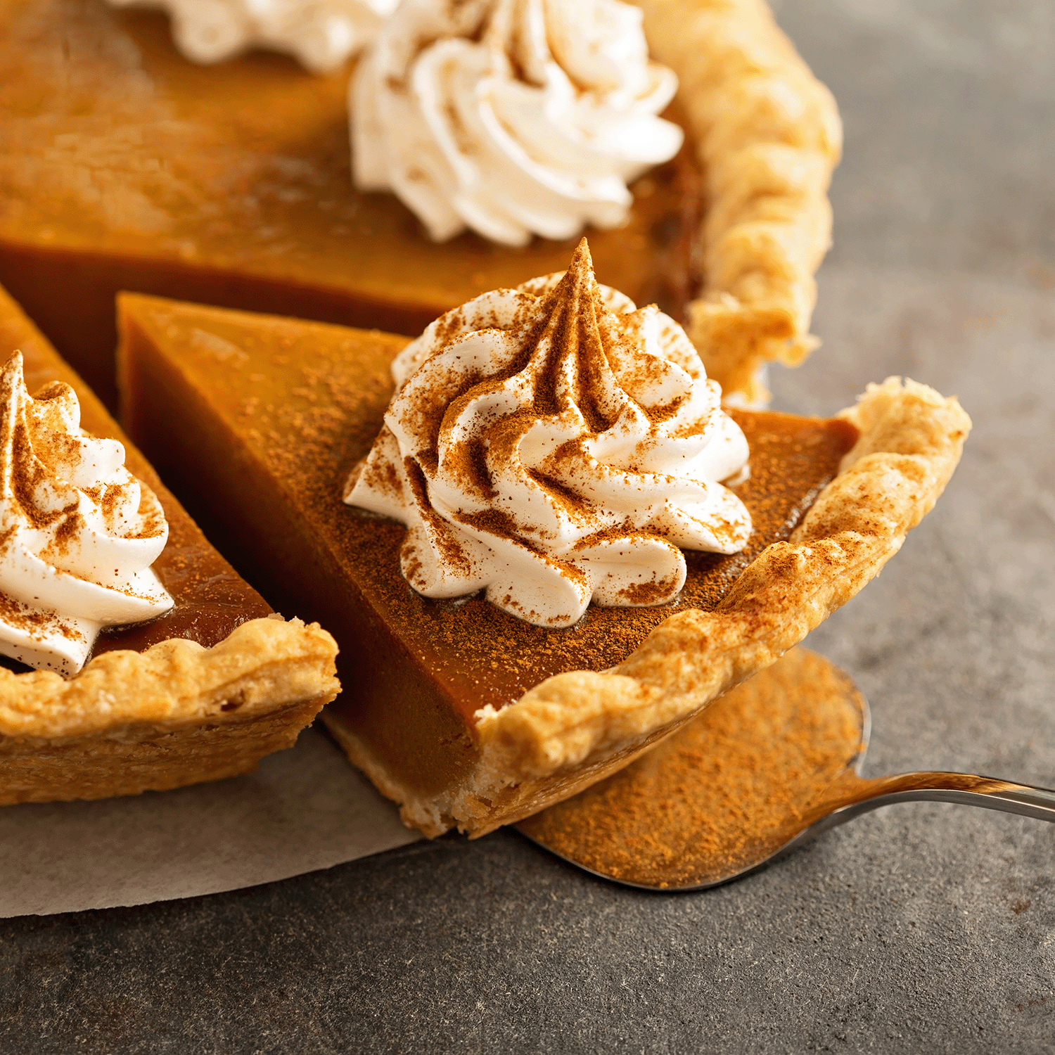 A slice of pumpkin pie topped with whipped cream and cinnamon is served, evoking the cozy aroma of Tuscany Candle® SEASONAL Pumpkin Spice: Nutmeg & Clove Scented Fall Candle (18 oz) and the warmth of fall.