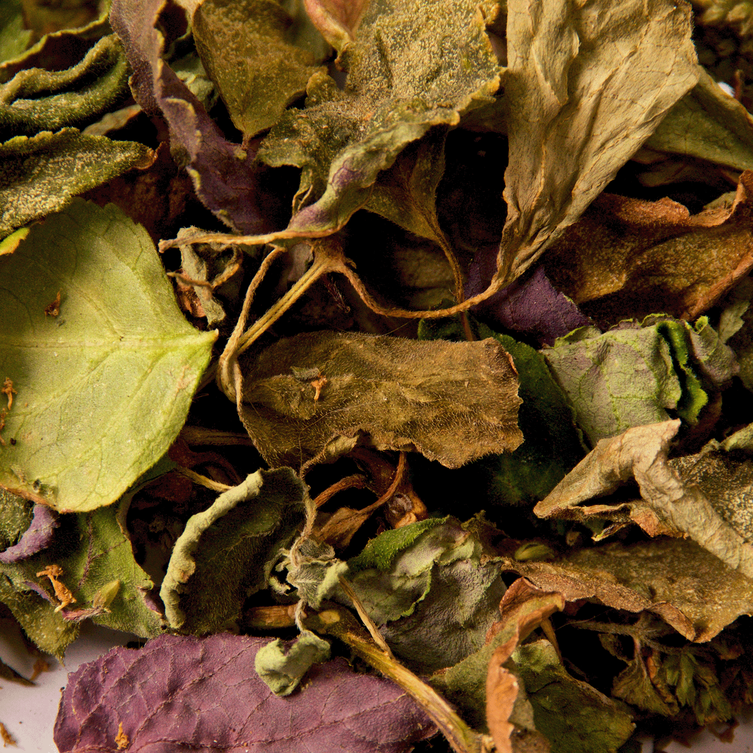 A close-up of textured green, brown, and purple dried leaves evokes the rich, earthy aroma of Tuscany Candle® SEASONAL’s Wildwood Oasis: Amber Woods & Patchouli Scented Fall Candle (18 oz).
