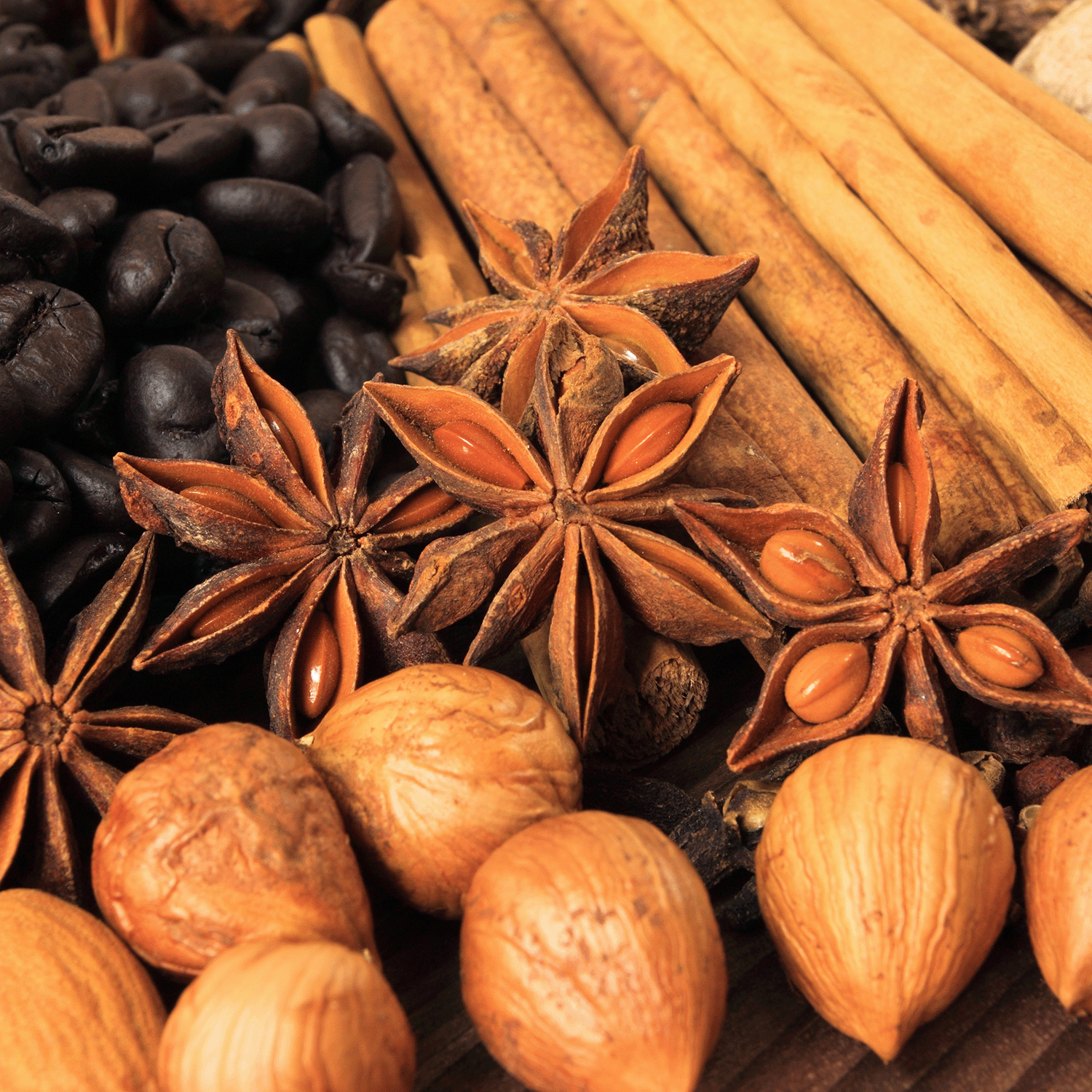 A close-up of star anise, nutmeg, cinnamon sticks, and coffee beans evokes the warm, inviting aroma of Tuscany Candle® SEASONAL's Harvest Pumpkin: Nutmeg & Clove Scented Fall Candle (18 oz).