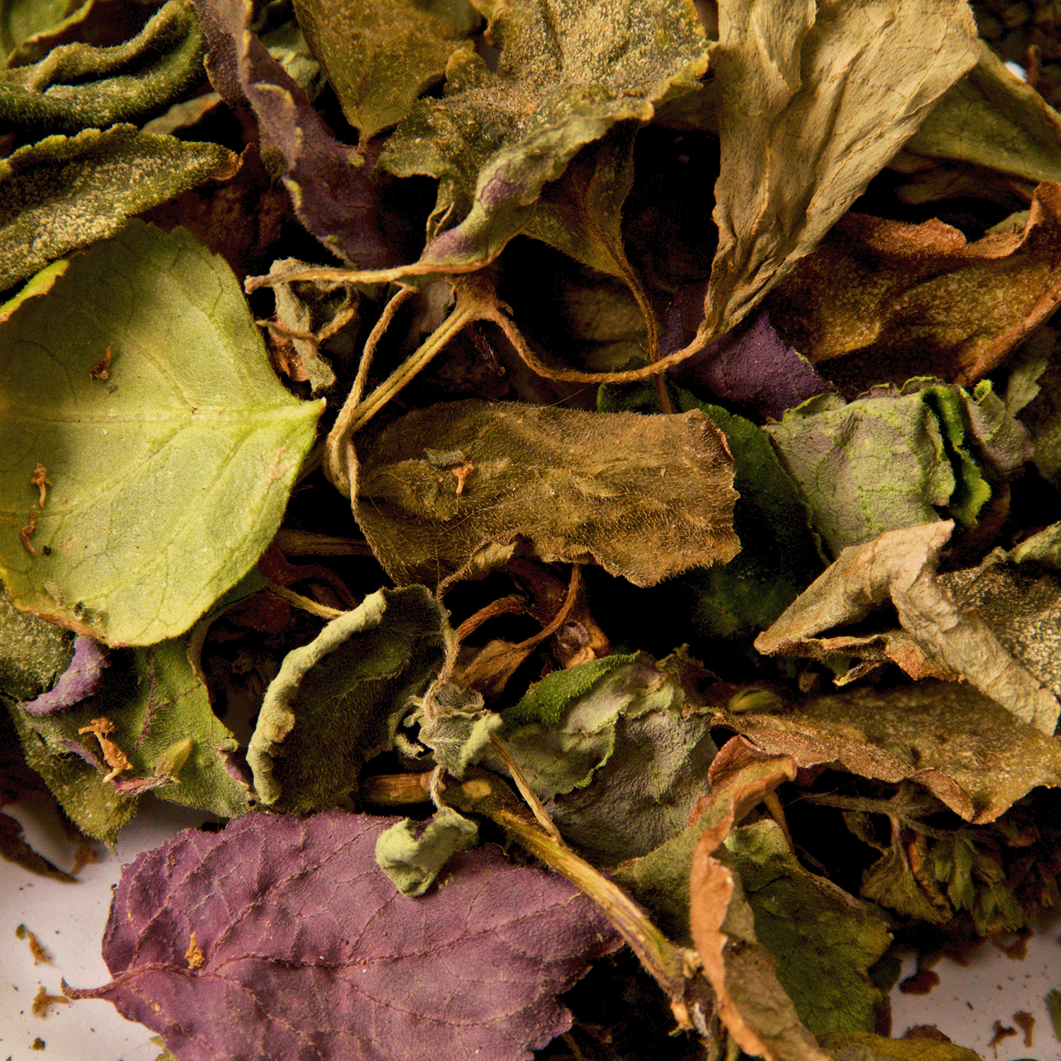 A pile of dried leaves in green, brown, and purple hues inspires the earthy patchouli and amber woods scent of Tuscany Candle® SEASONAL’s Wildwood Oasis: Amber Woods & Patchouli Scented Fall Wax Melt (2.5 oz).