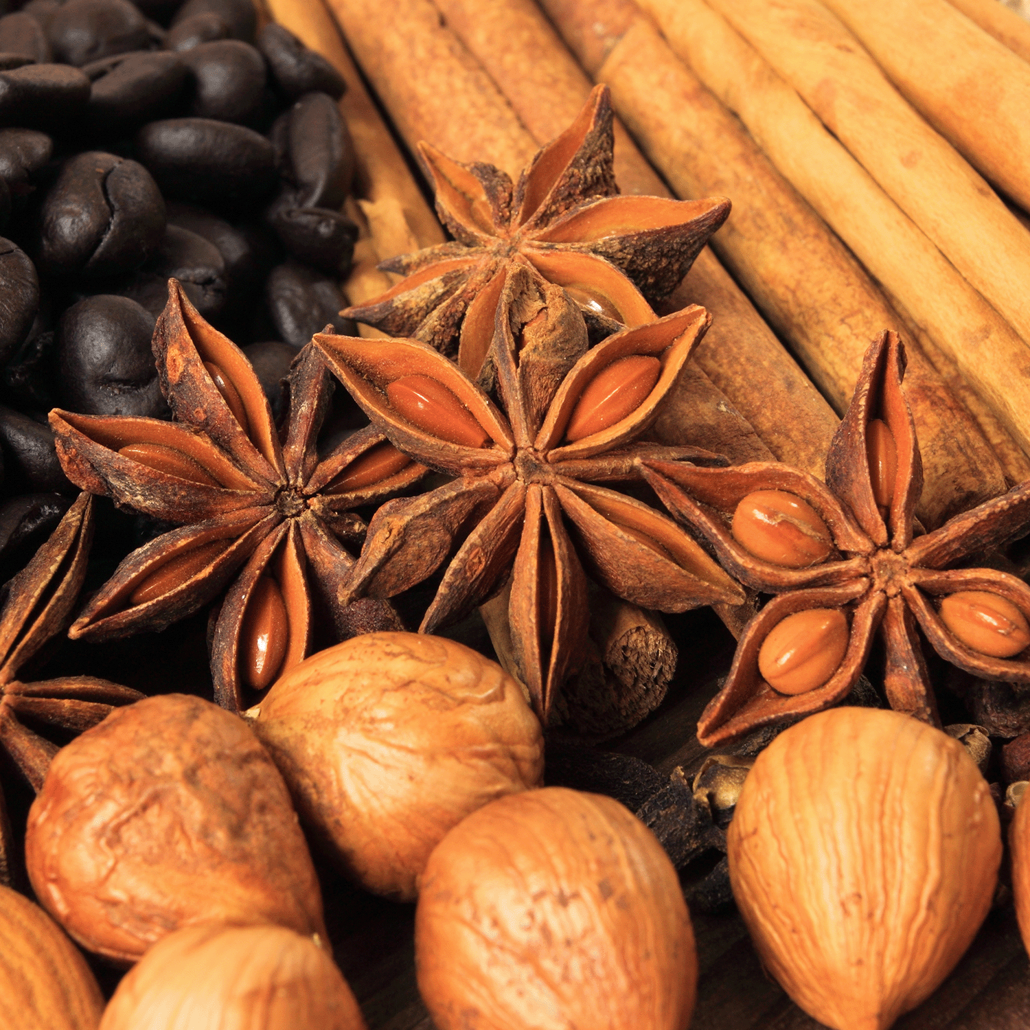 Close-up of warm spices and coffee beans on wood, capturing the cozy fall fragrance of Tuscany Candle® SEASONAL Harvest Pumpkin: Nutmeg & Clove Scented Fall Wax Melt (2.5 oz).
