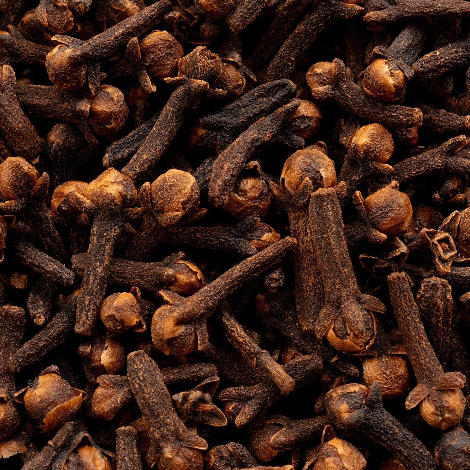 Close-up of dried cloves, their textured stems and tops evoking the warm aroma featured in Tuscany Candle® SEASONAL’s Autumn Bliss: Apple Cider & Clove Scented Fall Candle (14 oz) from the Simply Fall Collection.