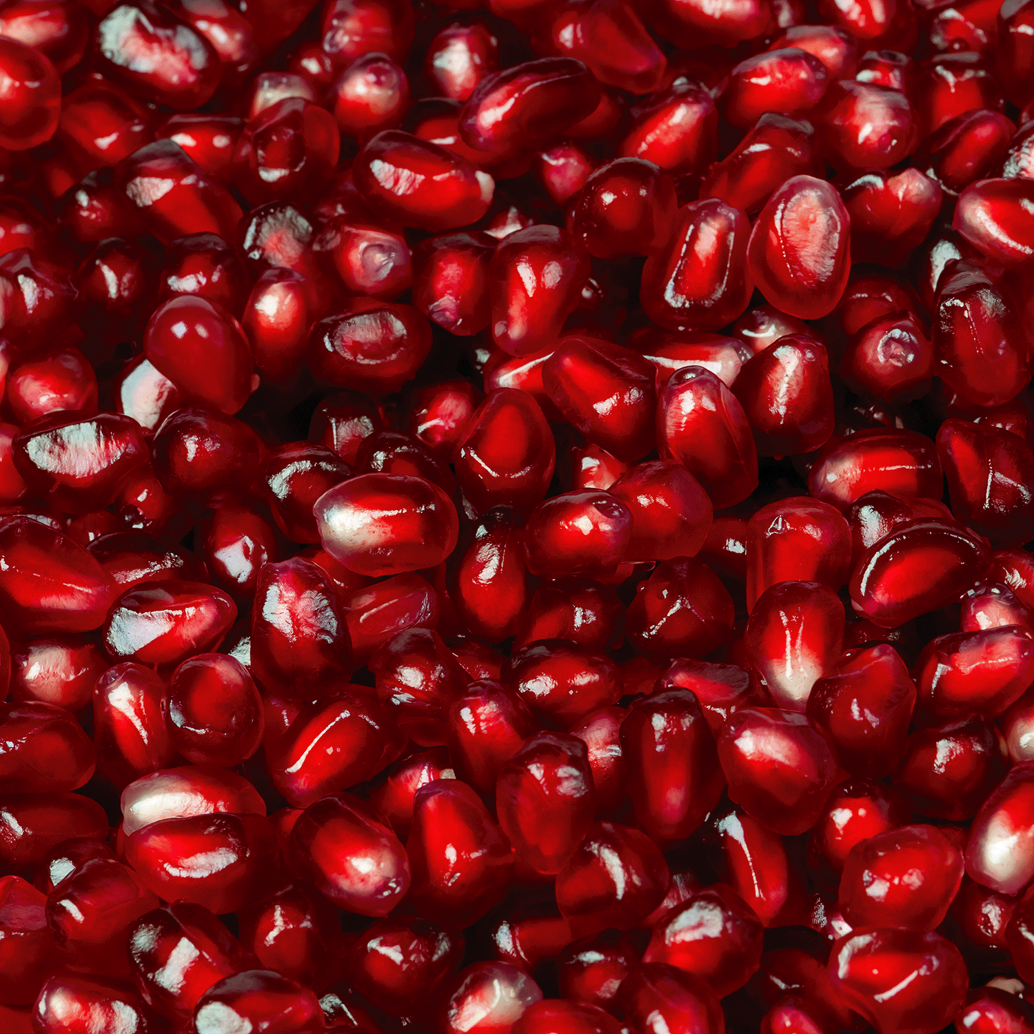 Close-up of glossy red pomegranate seeds, echoing the vibrant allure of Tuscany Candle® SEASONAL's Noir Berry Magic: Juicy Pomegranate & Enchanted Jasmine Scented Halloween Candle (14 oz).
