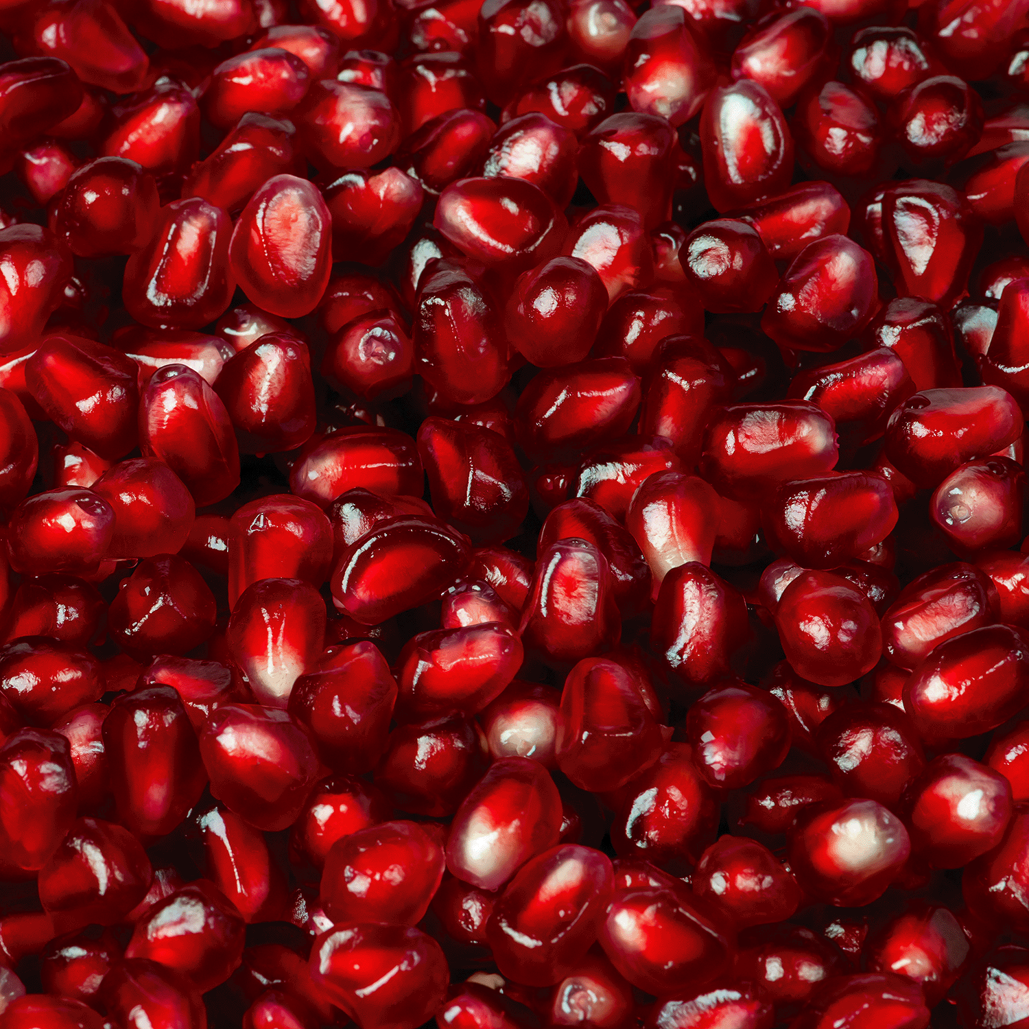 A close-up of glossy red pomegranate seeds evokes the vibrant look and scent of Tuscany Candle® SEASONAL Noir Berry Magic: Juicy Pomegranate & Enchanted Jasmine Halloween Wax Melt (2.5 oz).