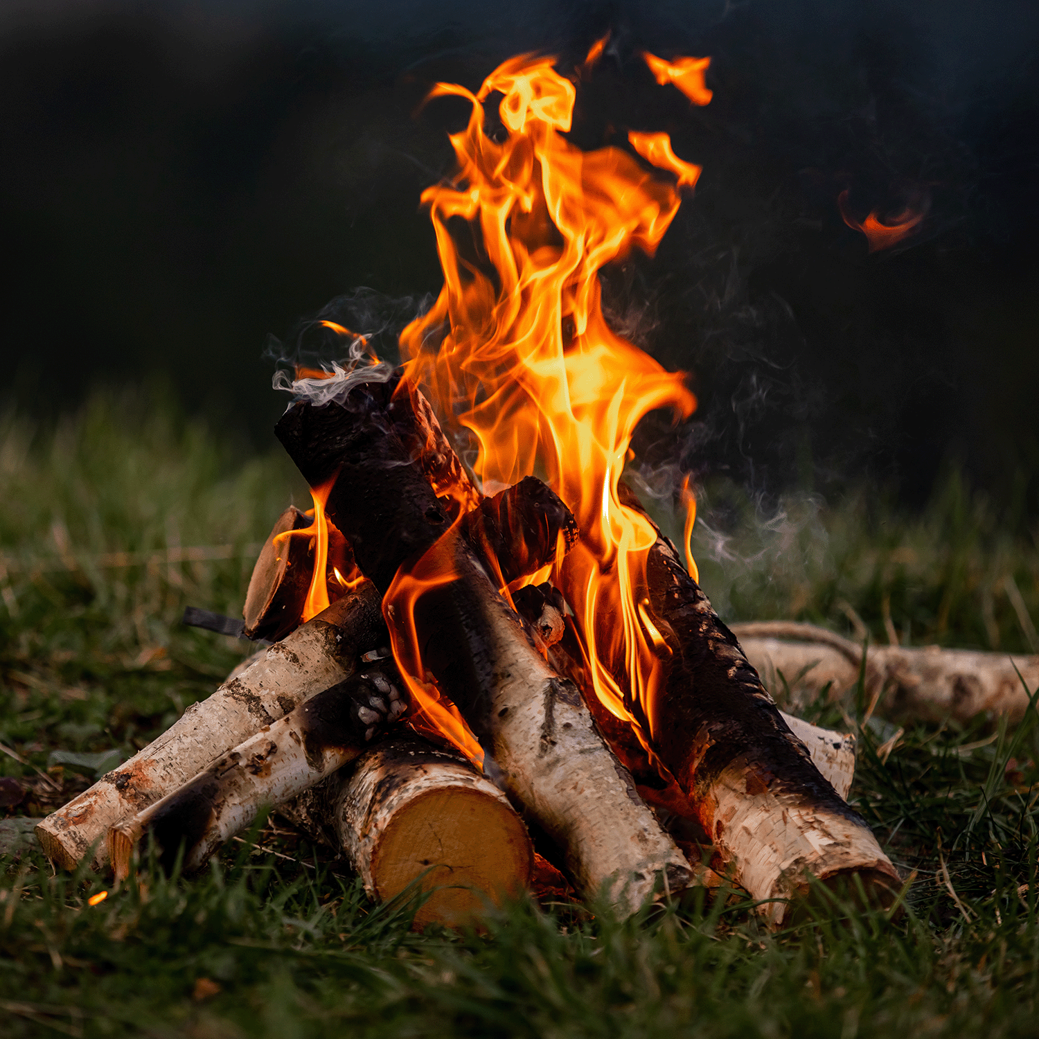 Stacked logs blazing with bright orange flames on grassy ground evoke the cozy aroma of Tuscany Candle® SEASONAL’s Something Wicked: Fireside Vanilla & Aged Oakmoss Scented Halloween Candle (14 oz) from the Mysteriously Spooky Collection.