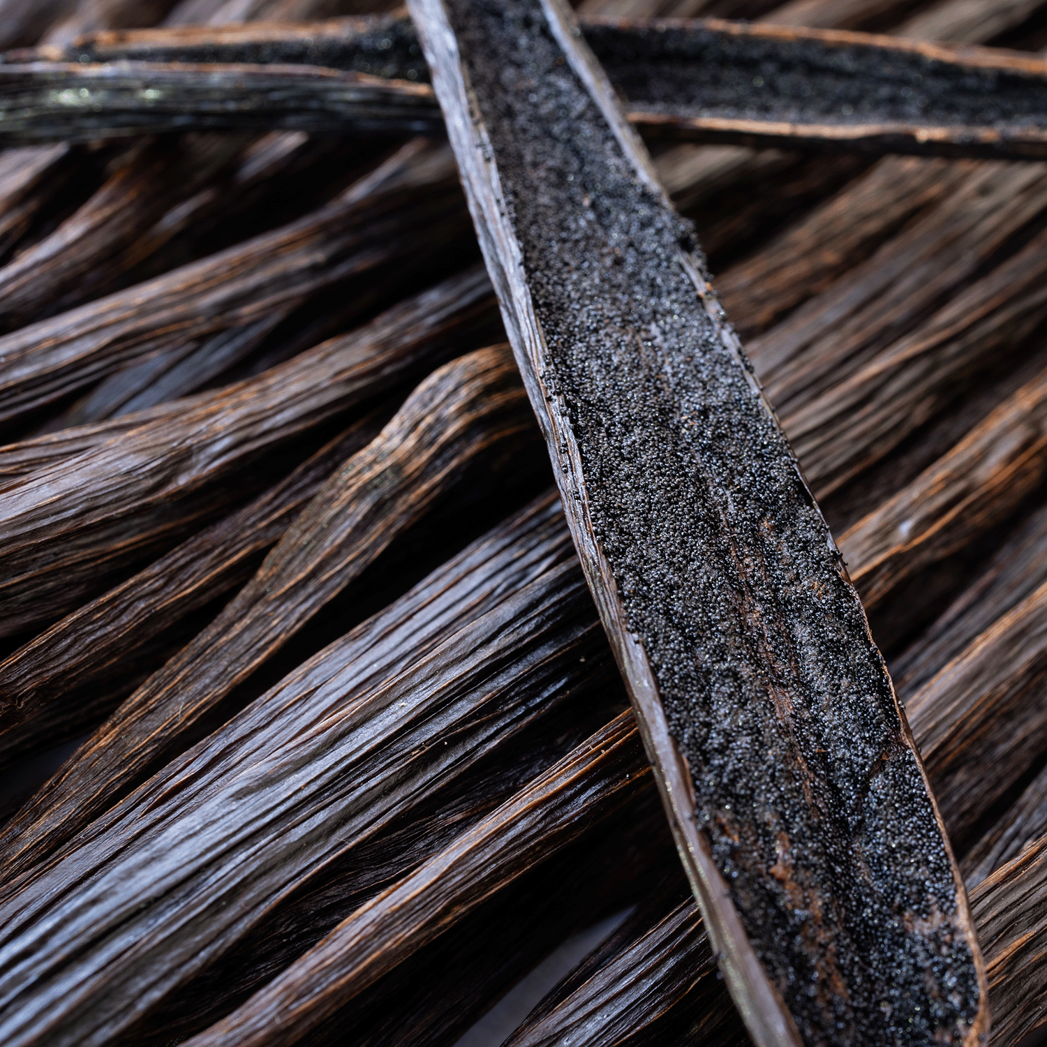 A close-up of whole and split vanilla beans, with dark seeds and textured pods, inspired Tuscany Candle® SEASONAL’s Something Wicked: Fireside Vanilla & Aged Oakmoss Scented Halloween Candle (14 oz) from the Mysteriously Spooky Collection.