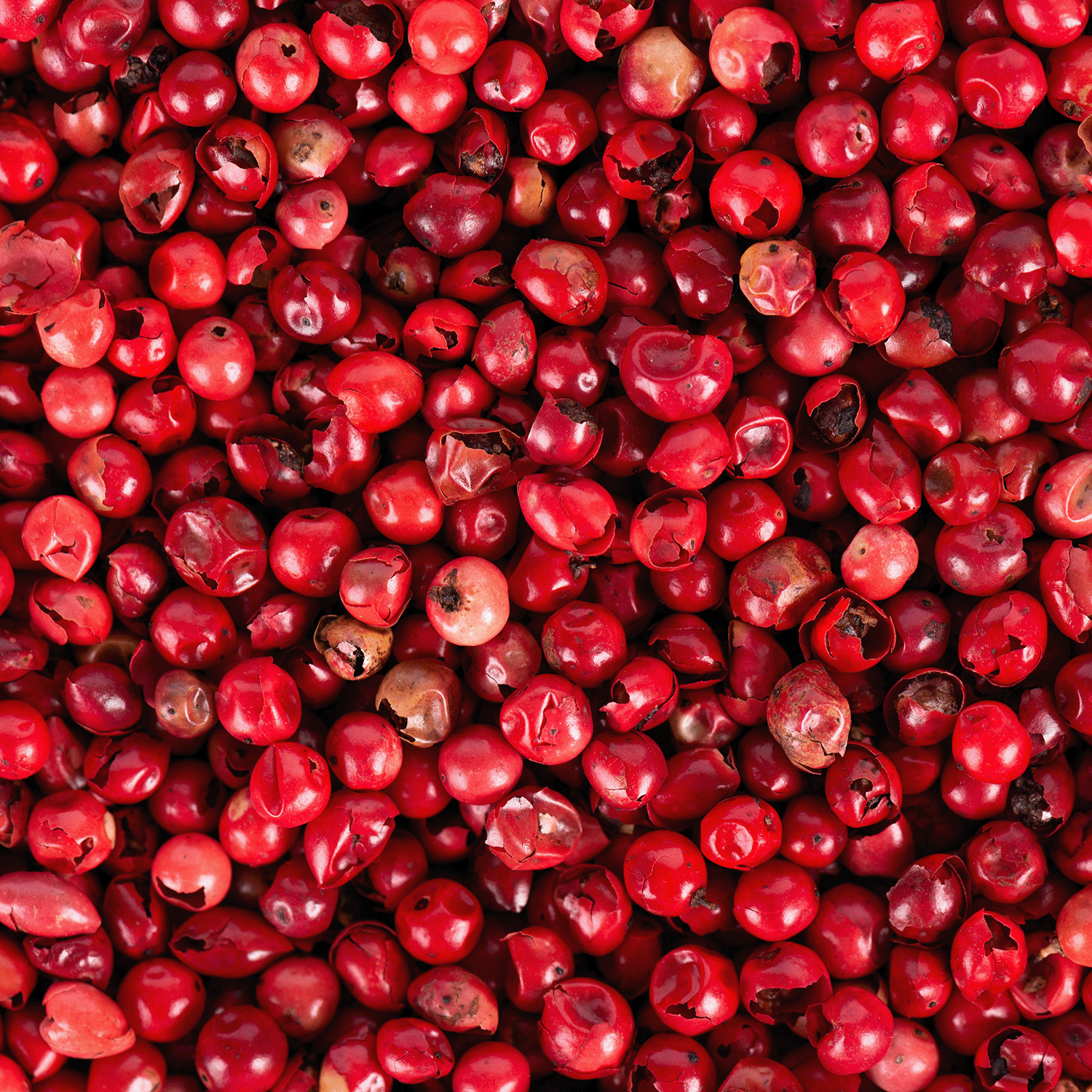 A close-up of dried pink peppercorns inspires the Tuscany Candle® SEASONAL Phantom Fog: Pink Pepper & Rich Sandalwood Halloween Candle (12 oz), part of the Spooky Skull Collection, crafted from soy blend wax.