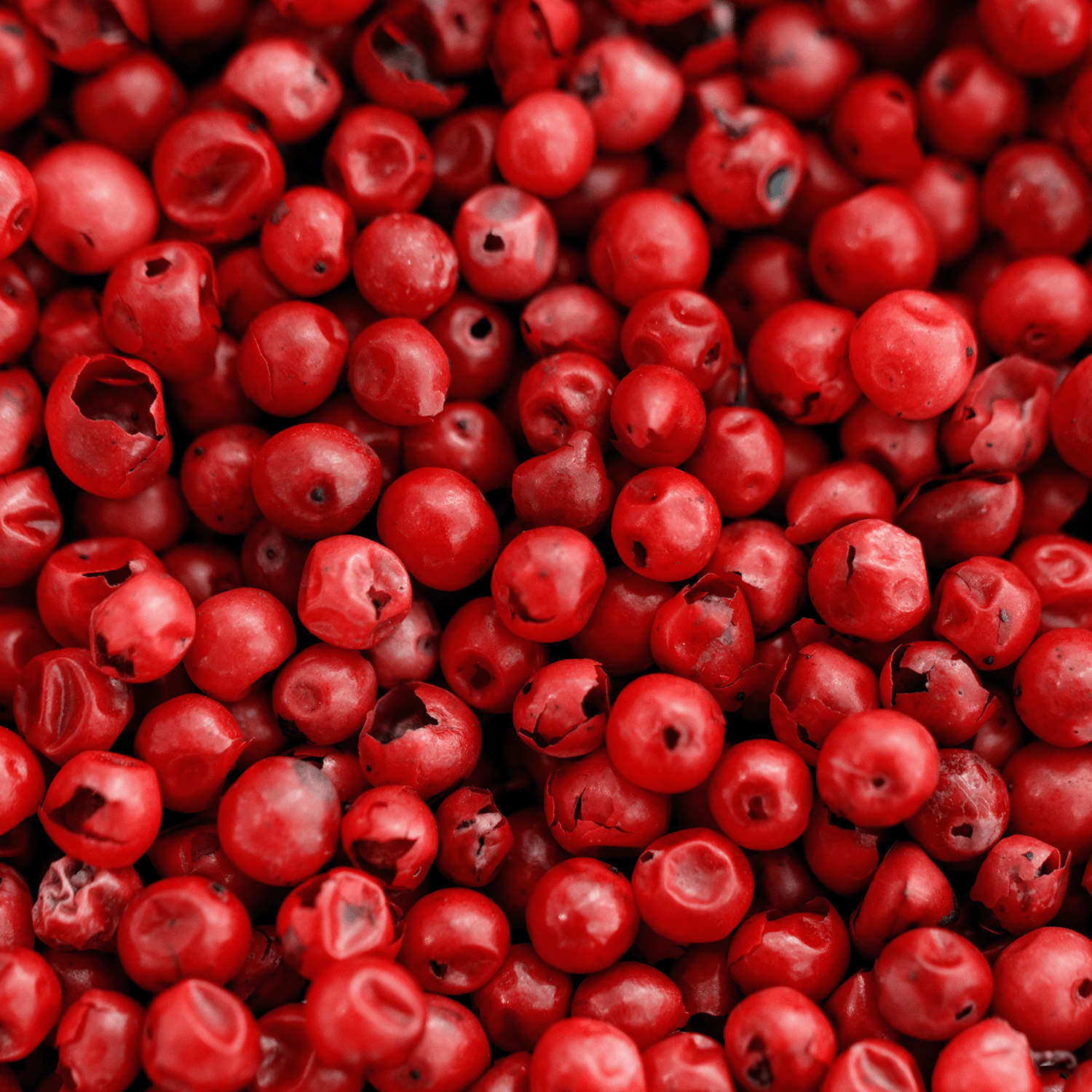 A close-up of vibrant dried pink peppercorns inspires the Tuscany Candle® SEASONAL Evening Fireside: Spicy & Warm Cedar Scented Holiday Wax Melt (2.5 oz)—a festive soy wax blend perfect for the holidays.