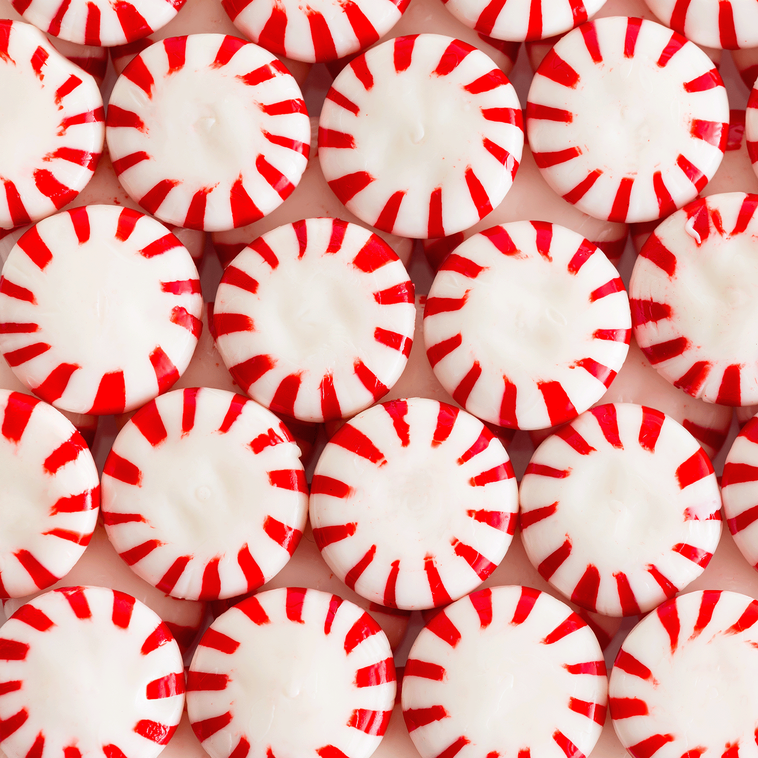 Rows of red and white striped peppermint candies evoke the festive spirit of the Tuscany Candle® SEASONAL Santa's Sleigh: Sweet Mint & Pine Scented Holiday Candle (12 oz) from the Winter Icons Collection.