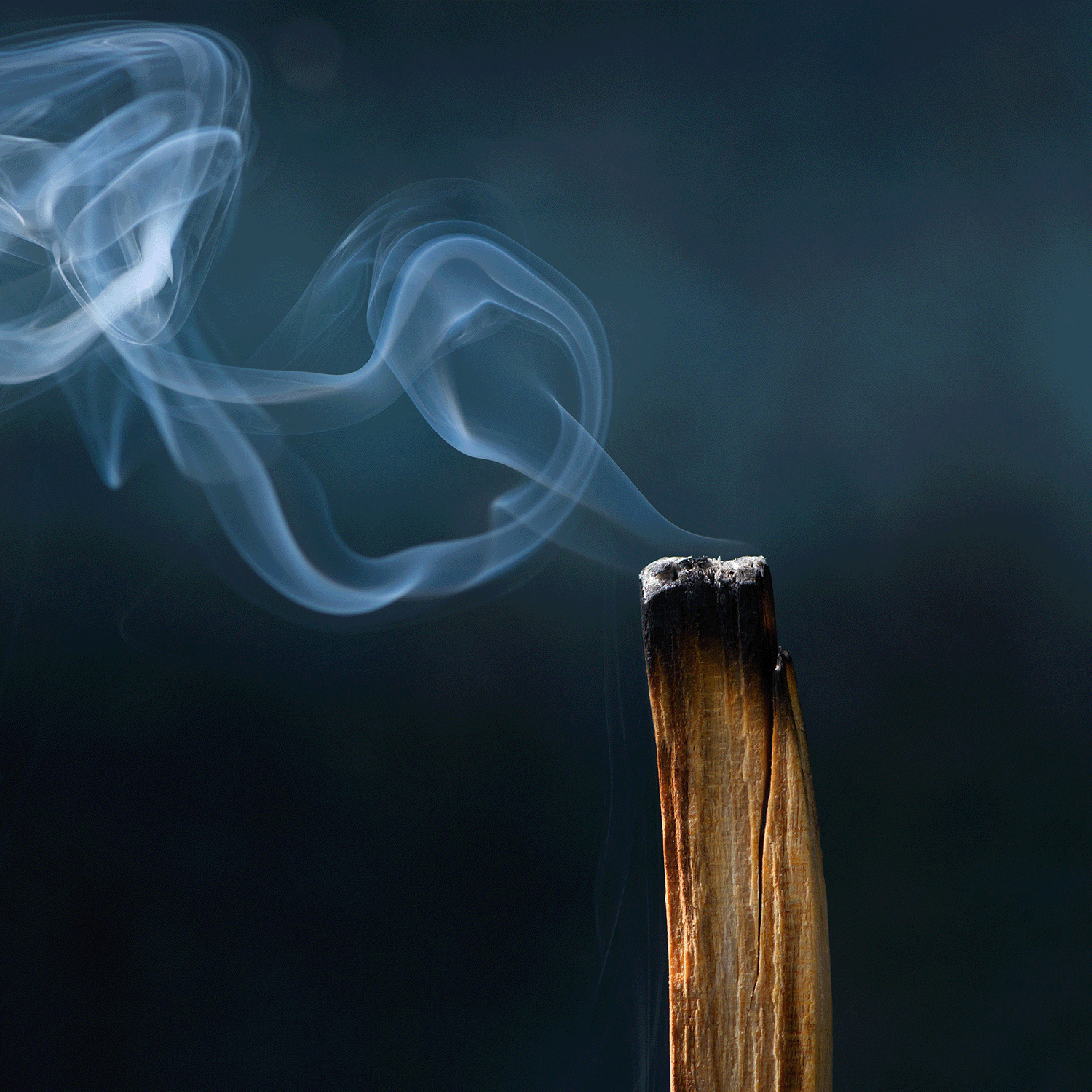 A close-up of Tuscany Candle® SEASONAL’s Date Night: Palo Santo Scented Valentine's Candle (14 oz) burning, with gentle smoke rising against a dark, blurred background.