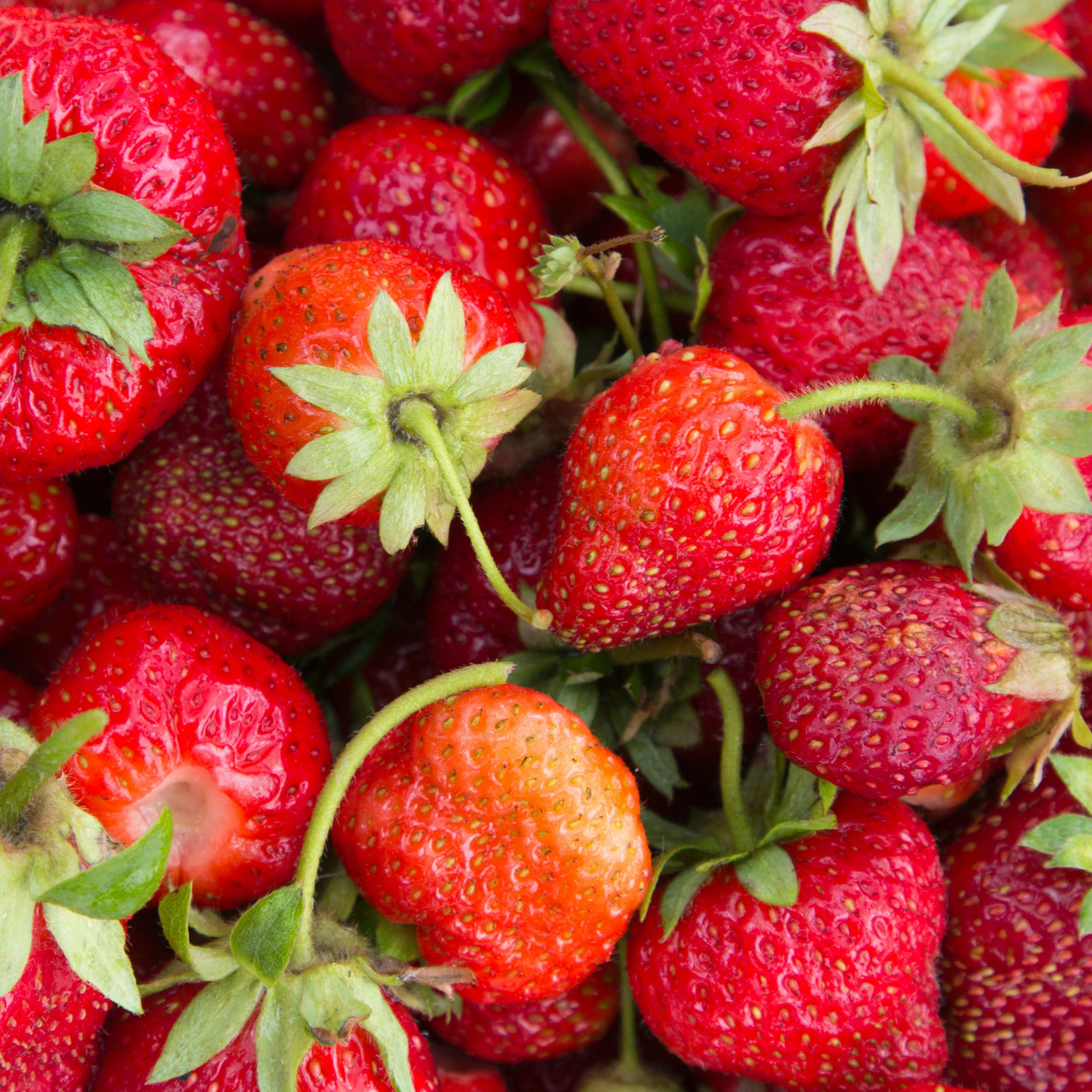 A close-up of ripe strawberries with green stems conjures the fresh, juicy scent of Tuscany Candle® EVD's Country Picnic Scented Jar Candle (10 oz) from the Farmhouse Collection.
