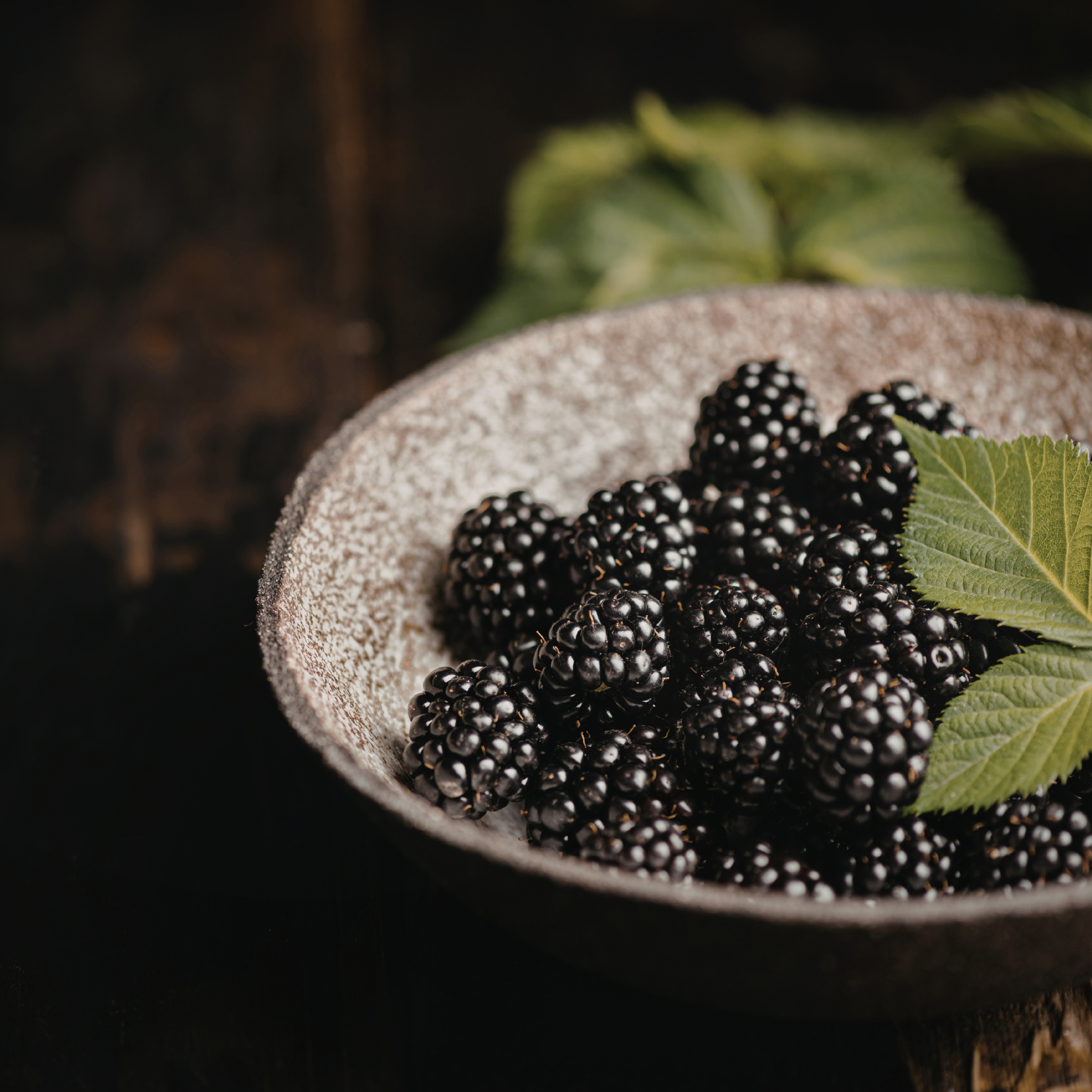 A ceramic bowl of blackberries with green leaves on dark wood inspires the Berry Garden Scented Jar Candle (10 oz) from Tuscany Candle® EVD’s Farmhouse Collection—ideal for charming farmhouse décor.