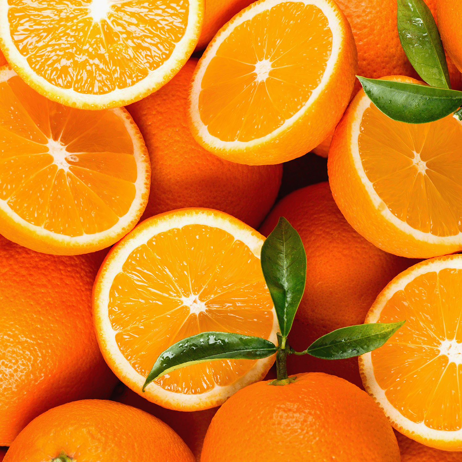 Whole and halved oranges with green leaves are artfully arranged, capturing the fresh, beachy vibe of Tuscany Candle® SEASONAL Seaside Blossoms: Coconut & Floral Scented Spring Candle (14 oz).