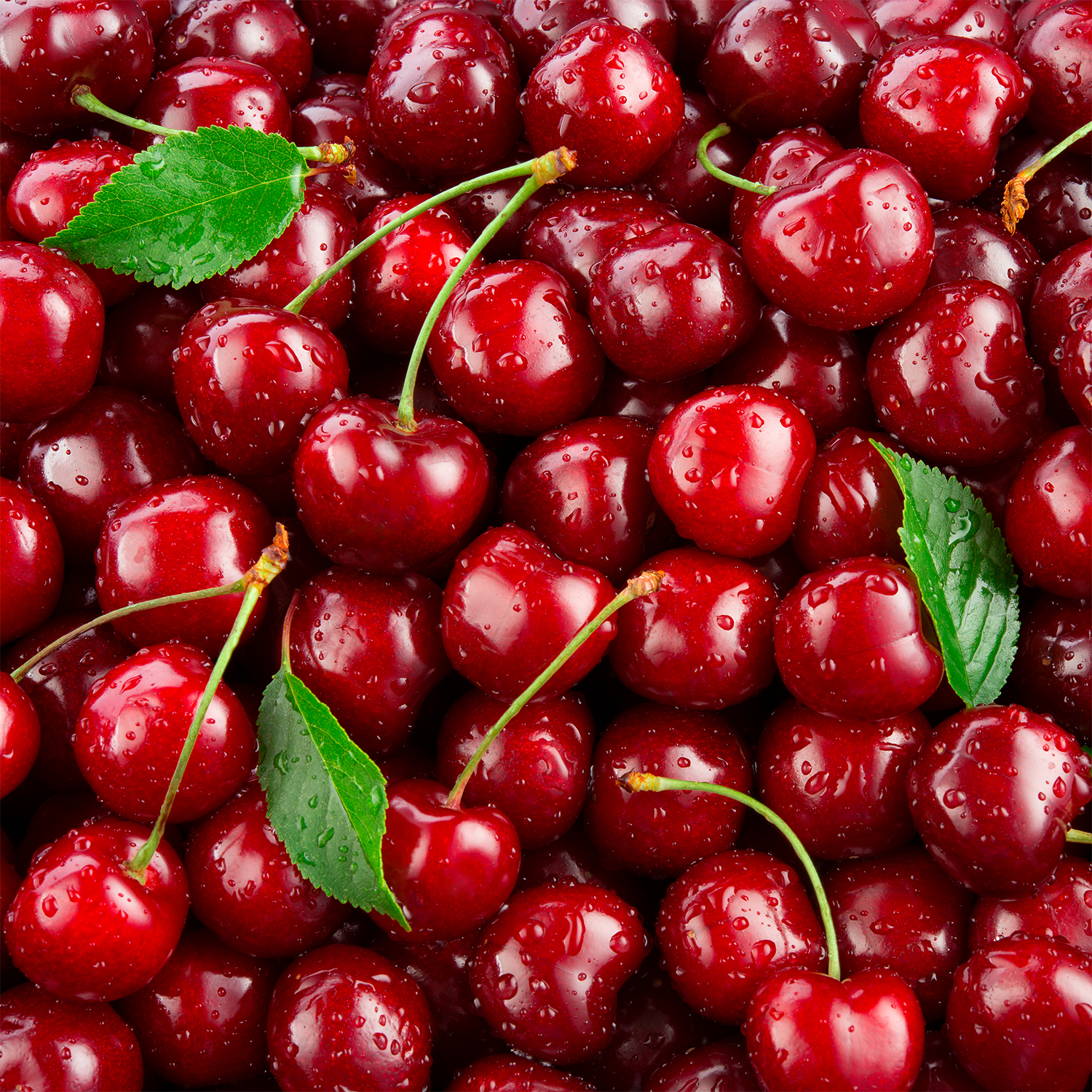 A fresh pile of red cherries evokes the essence of Tuscany Candle® SEASONAL Black Cherry & Plum: Sparkling Seltzer Scented Summer Candle (13 oz)—the perfect summer home fragrance.