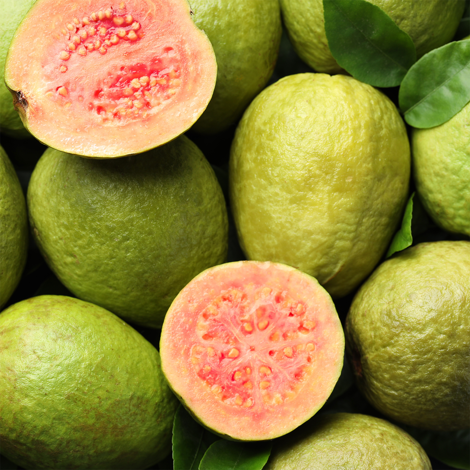 A vibrant display of whole and sliced green guavas with pink flesh inspires the fizzy, fruity aroma of Tuscany Candle® SEASONAL’s Fizzy Rainbow Pops: Lychee & Guava Scented Summer Candle (12 oz).