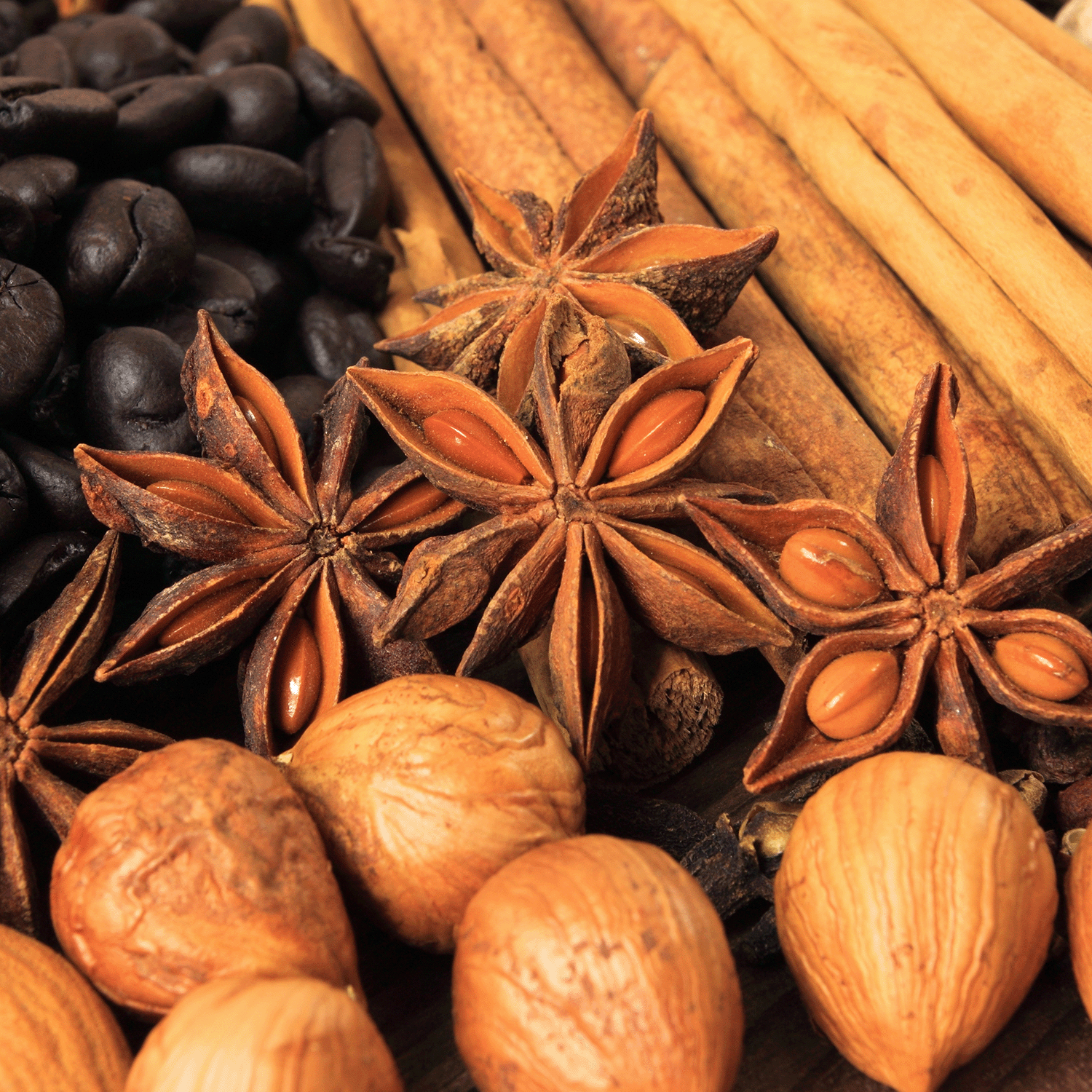 Close-up of the Charmed Pumpkin: Spooky Spice & Pumpkin Scented Halloween Candle (18 oz) by Tuscany Candle® SEASONAL, artfully arranged with star anise, cinnamon sticks, nutmeg, and coffee beans.