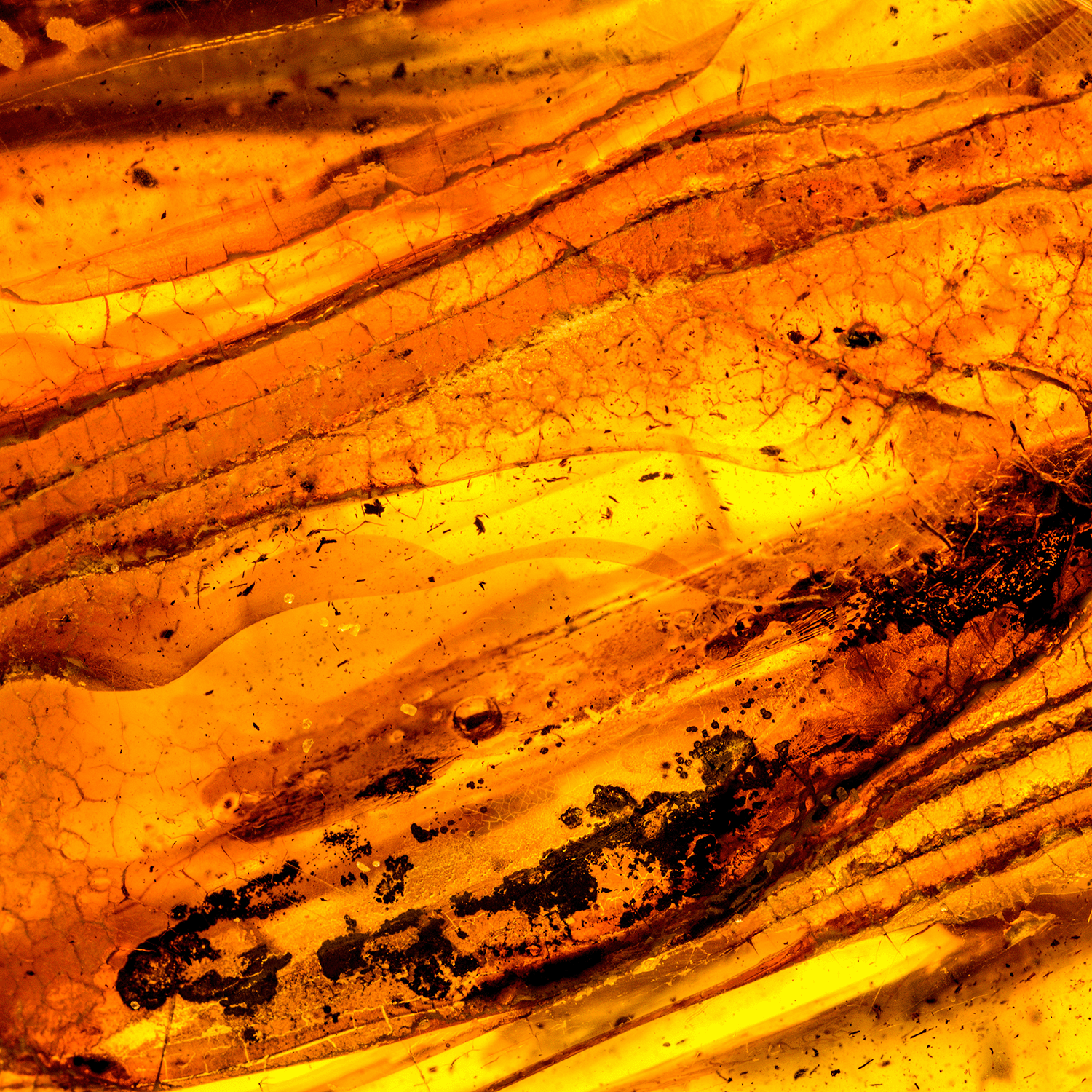 Experience a close-up look at the Enchanted Embers: Apple & Amber Scented Halloween Candle (14 oz) by Tuscany Candle® SEASONAL, featuring an amber-hued surface with layered bands of orange, yellow, and brown tones highlighted by subtle cracks and natural inclusions.
