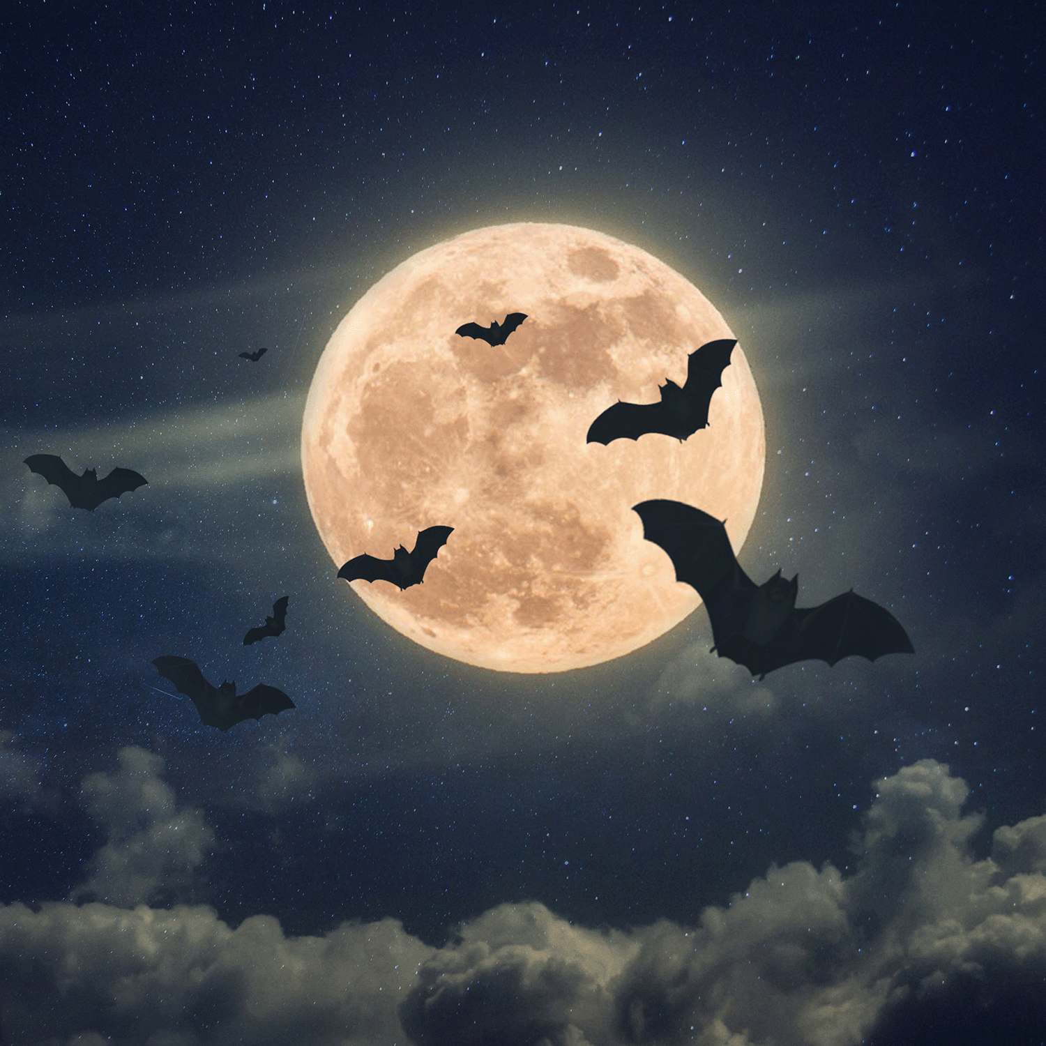 A group of bats soars across a glowing full moon in a cloudy night sky, captured on the label of Tuscany Candle® SEASONAL’s Full Moon: Black Timber & Red Cherry Scented Halloween Candle (12.5 oz).
