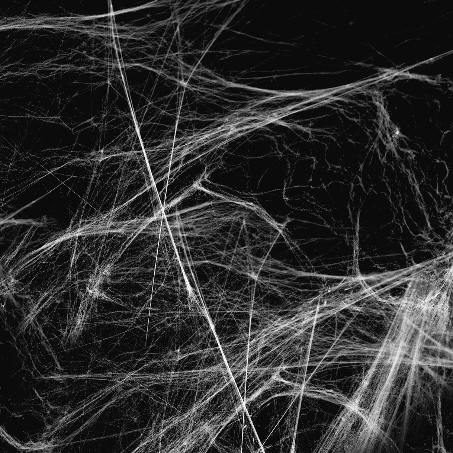 Close-up view of the Spider Silk: Dark Cherry & Amber Oud Scented Halloween Candle (16 oz) by Tuscany Candle® SEASONAL, featuring intricate white wax threads reminiscent of tangled spider webs against a midnight-black background.