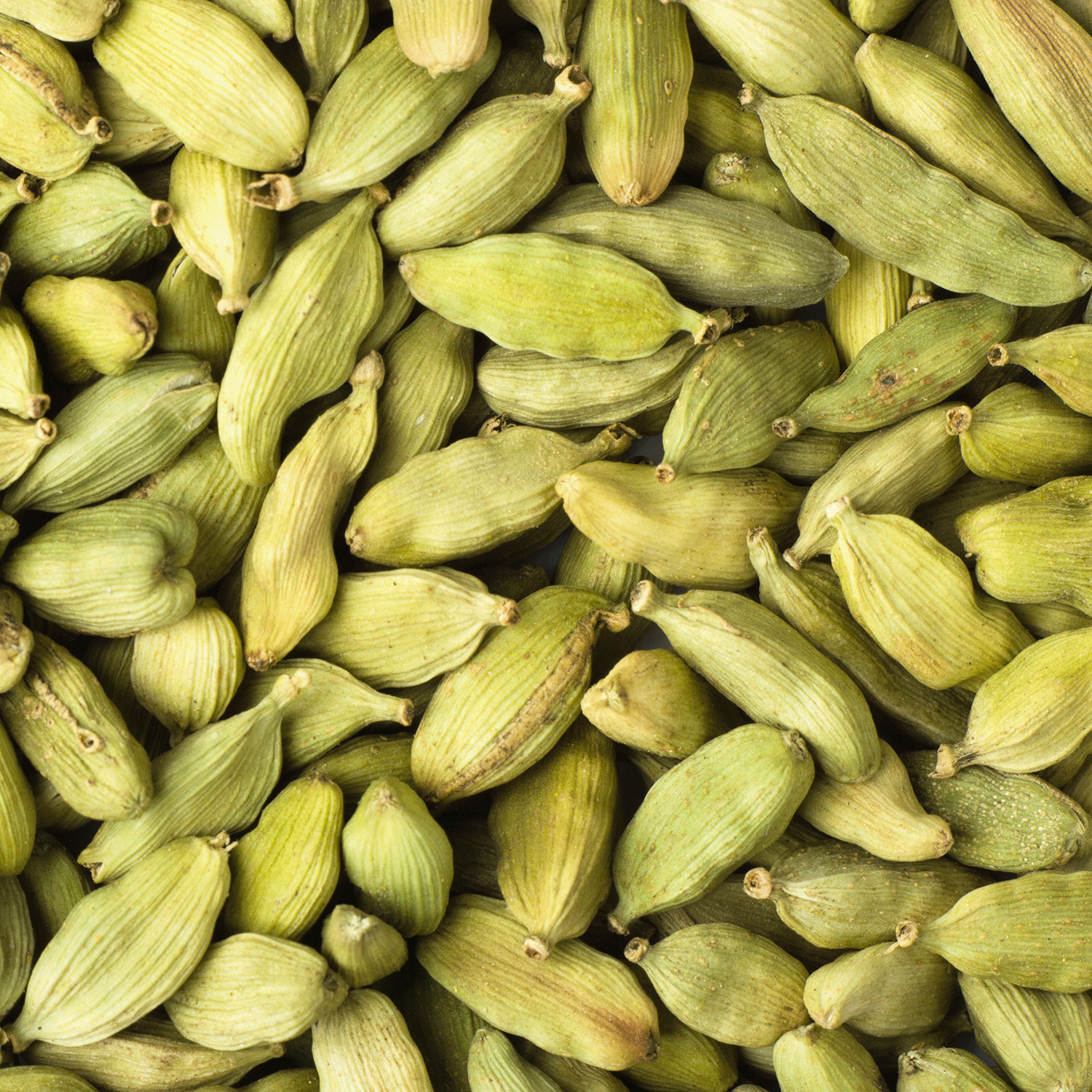 A close-up view of whole green cardamom pods, with their textured green surfaces and oval shapes nestled together—capturing the warm, spicy notes at the heart of Tuscany Candle® SEASONAL's Twilight Amber: Peppercorn & Cardamom Scented Fall Candle (14 oz), reminiscent of a cozy autumn fragrance.