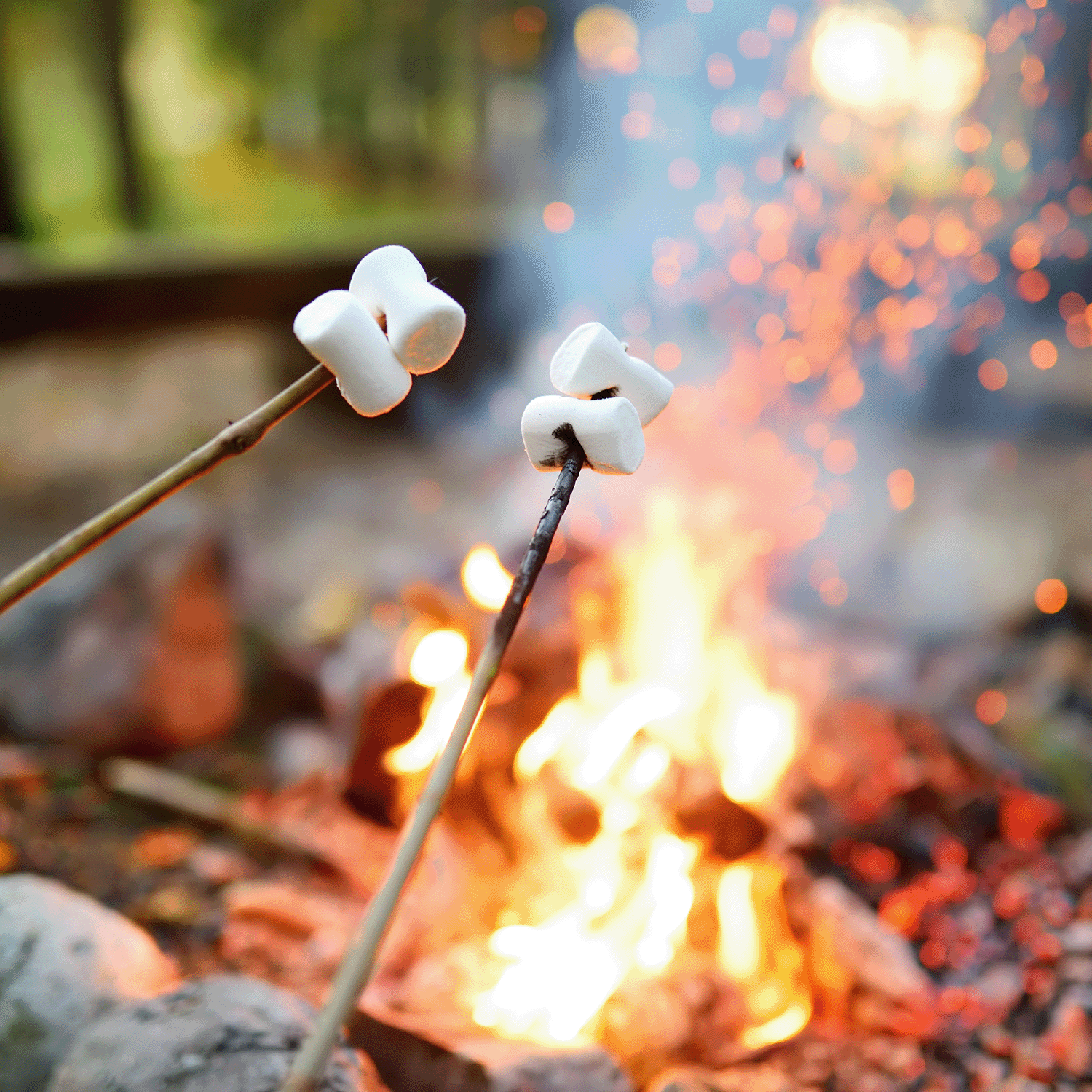Two sticks with marshmallows held over a campfire, flames and smoky embers glowing in the background amid rocks—just like the inviting aroma of Tuscany Candle® SEASONAL Evening Fireside®: Smoky Embers & Birch Scented Fall Wooden Wick Candle (14.5 oz).