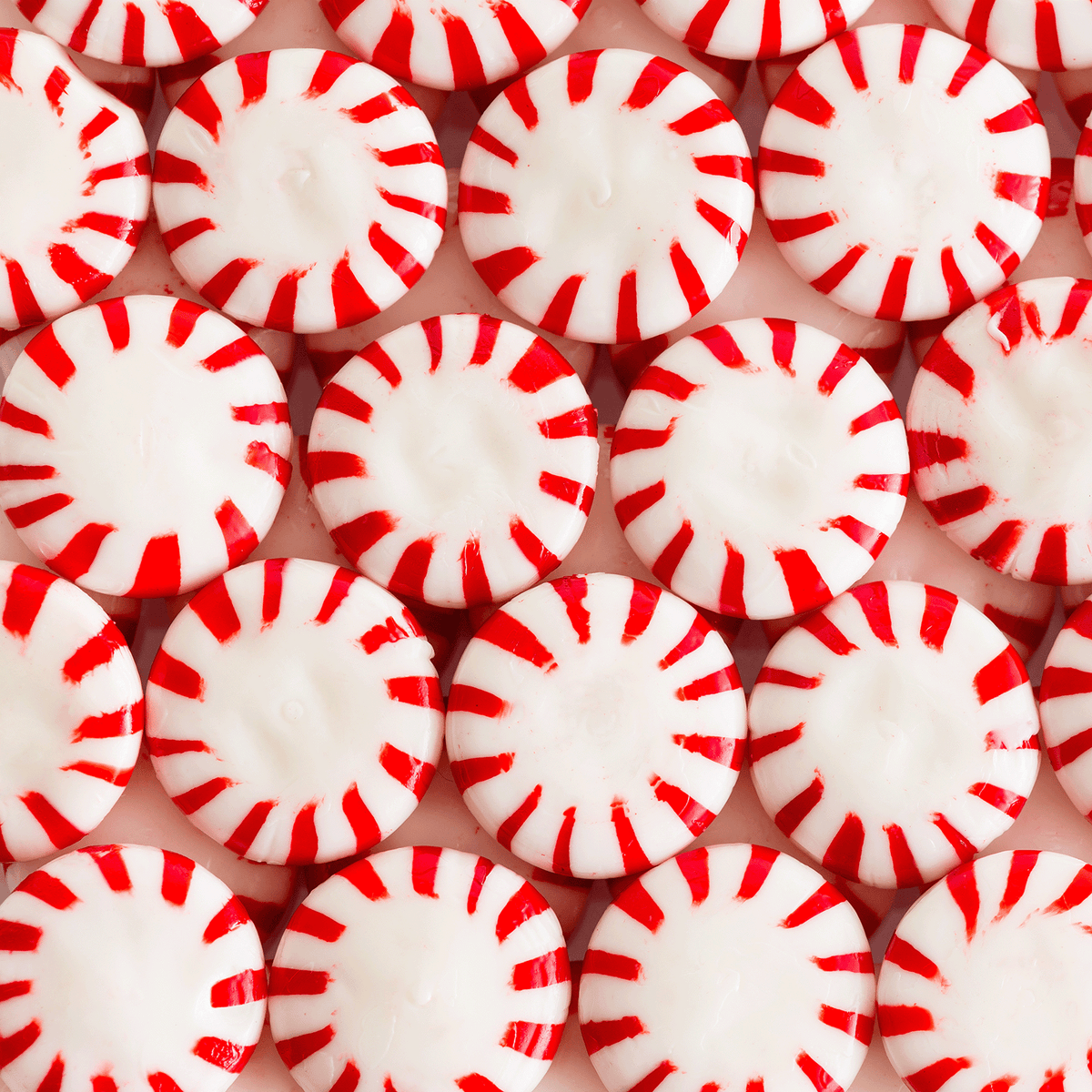 Close-up pattern of round, white peppermint candies with red stripes on a Candy Cane Snowflakes: Sweet Mint & Jasmine Scented Holiday Candle (14 oz) by Tuscany Candle® SEASONAL.