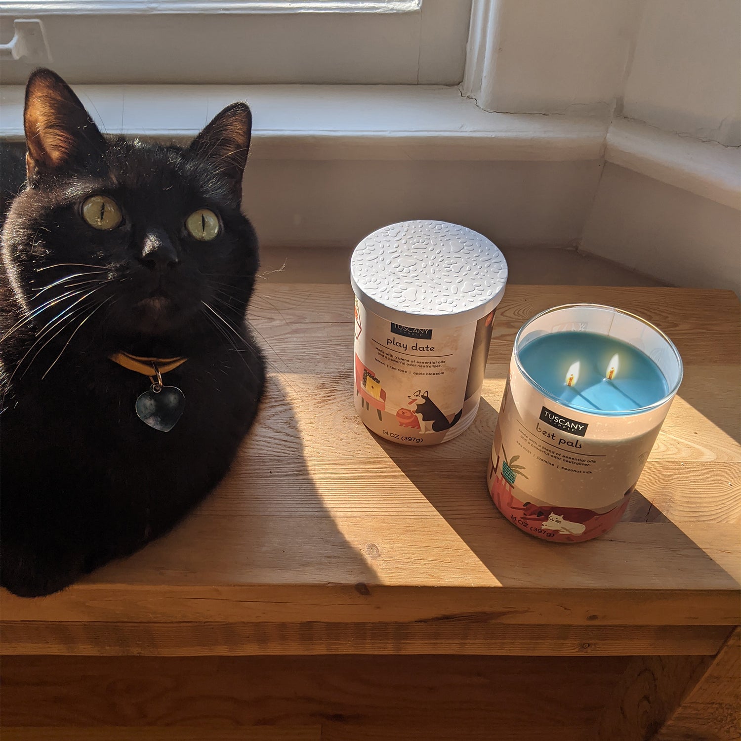 A black cat sits on a window sill next to a Tuscany Candle Play Date Scented Jar Candle (14 oz) – Pet Odor Control Collection, combating pet odors in a cozy home setting.