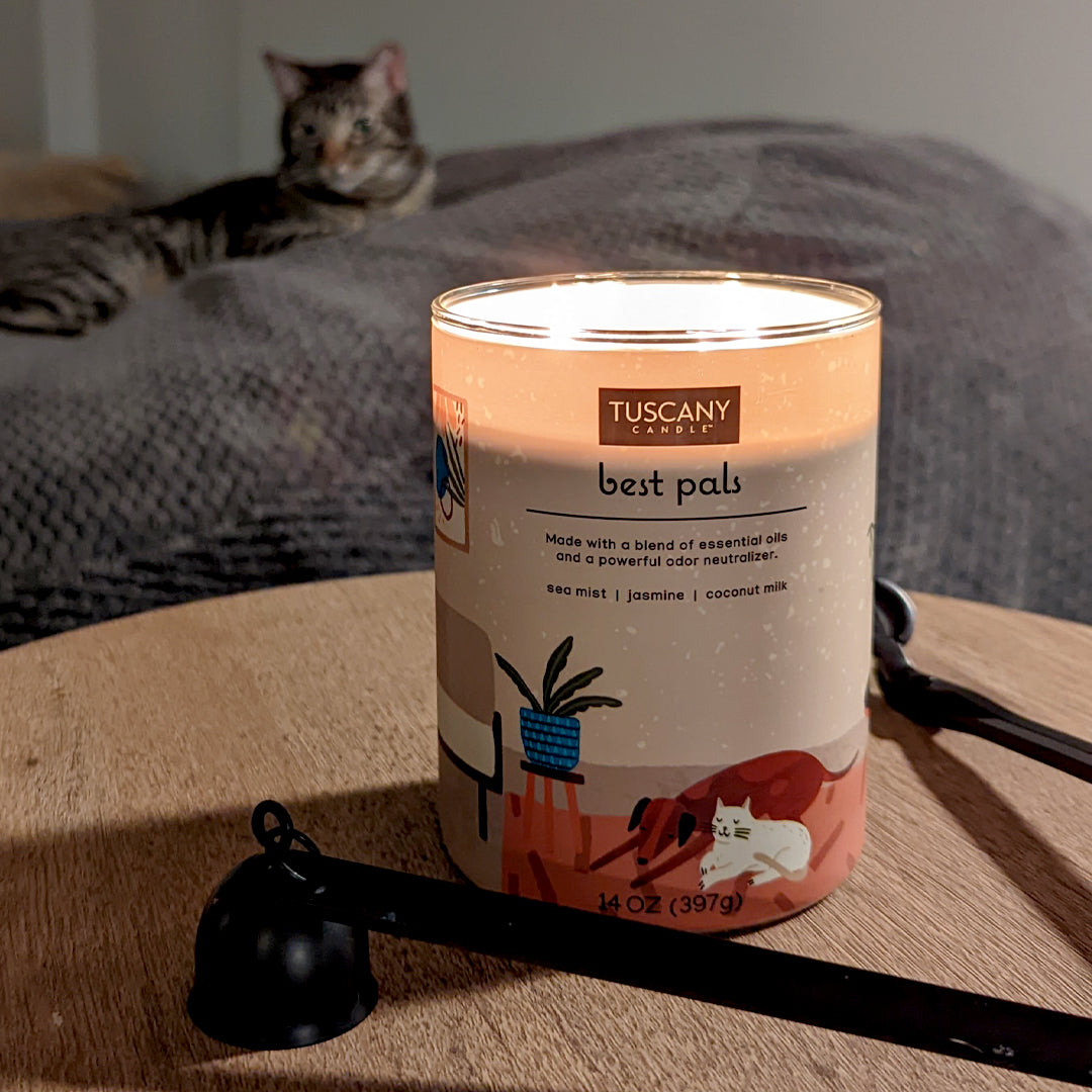 A Tuscany Candle Best Pals Scented Jar Candle (14 oz) – Pet Odor Control Collection is sitting on a table next to a cat, providing pet odor control to neutralize any unwanted smells.