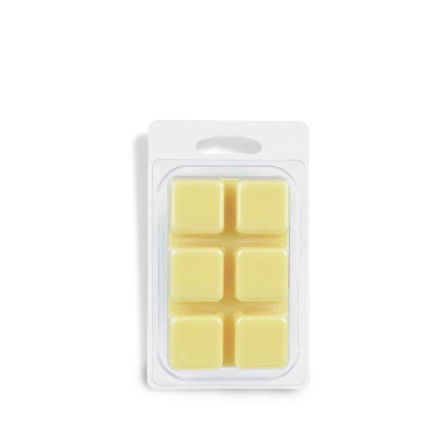 A sea salt-scented wax melt fragrance bar