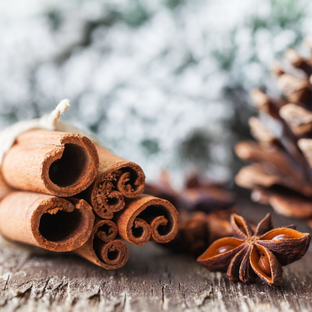 12oz Cinnamon Season scented candle in a glossy white glass jar with a black lid, filled with white wax, exuding the warm aromas of cinnamon, nutmeg, and clove from the Winter candle collection.