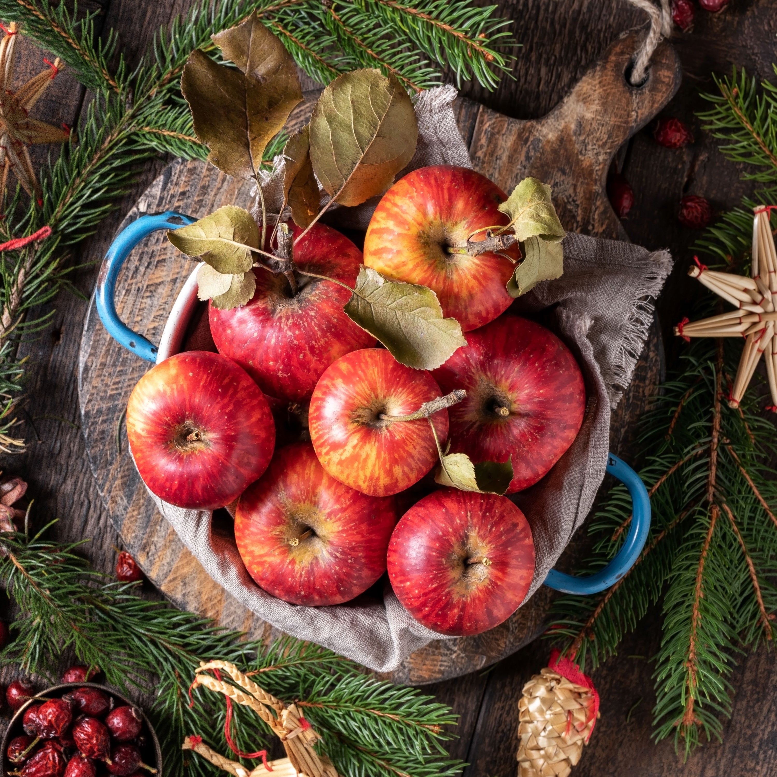 A still life of holiday apples stacked in a pile