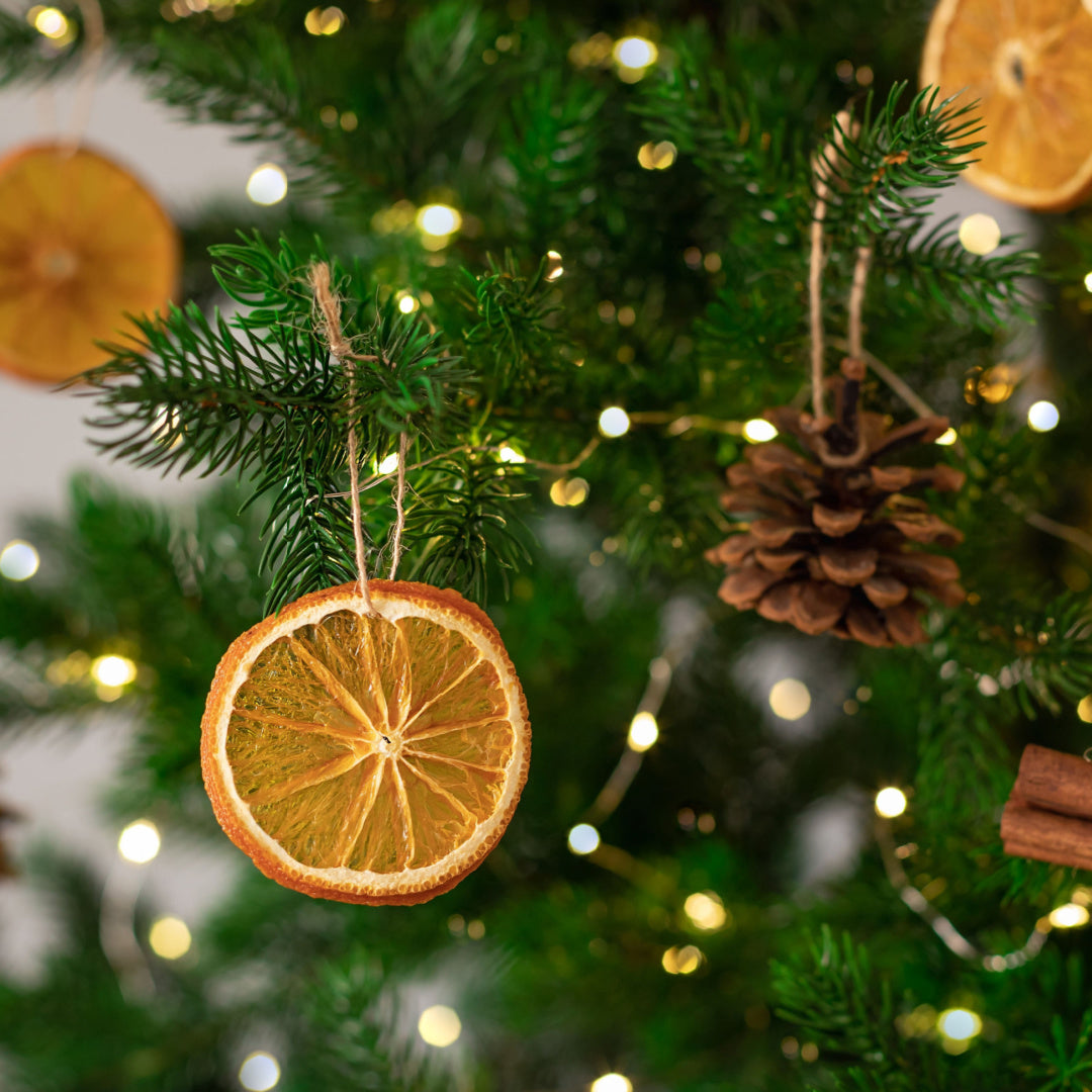 A closeup of sliced clementine oranges hanging as christmas tree ornaments. This scene is the inspiration for our "Balsam & Clementine" christmas candle.