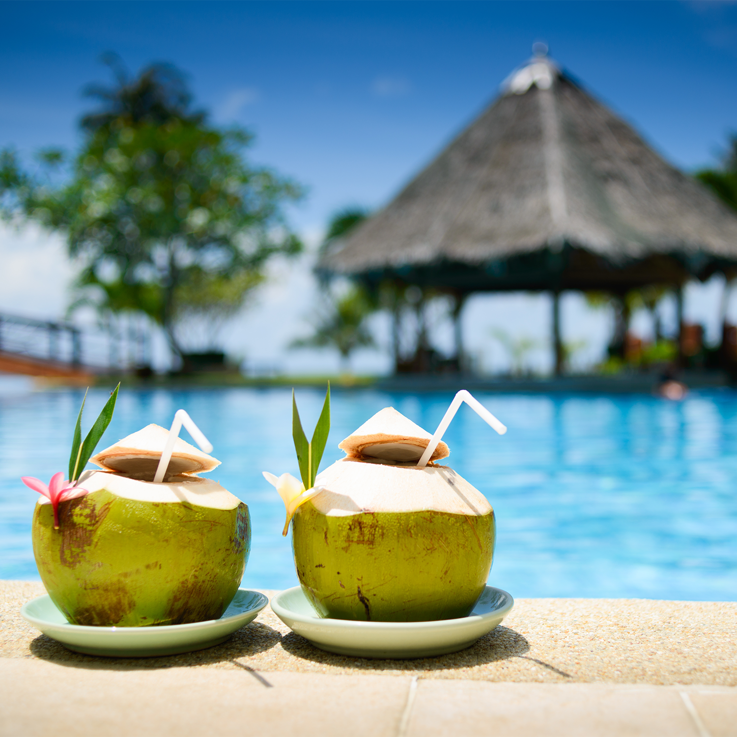 Pina coladas poolside - inspiration for our "coconut colada" fragrancebar