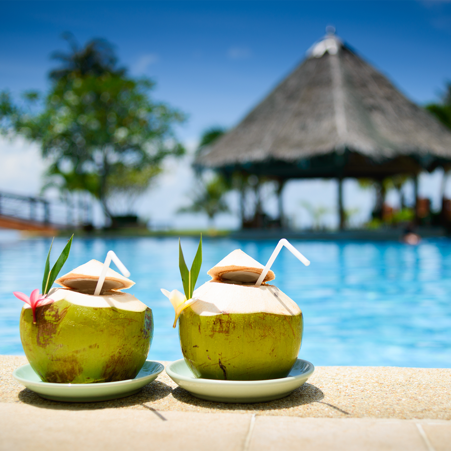 A tropical getaway vibe with two Coconut Colada Long-Lasting Scented Jar Candles (14 oz) from Tuscany Candle on a plate next to a swimming pool.