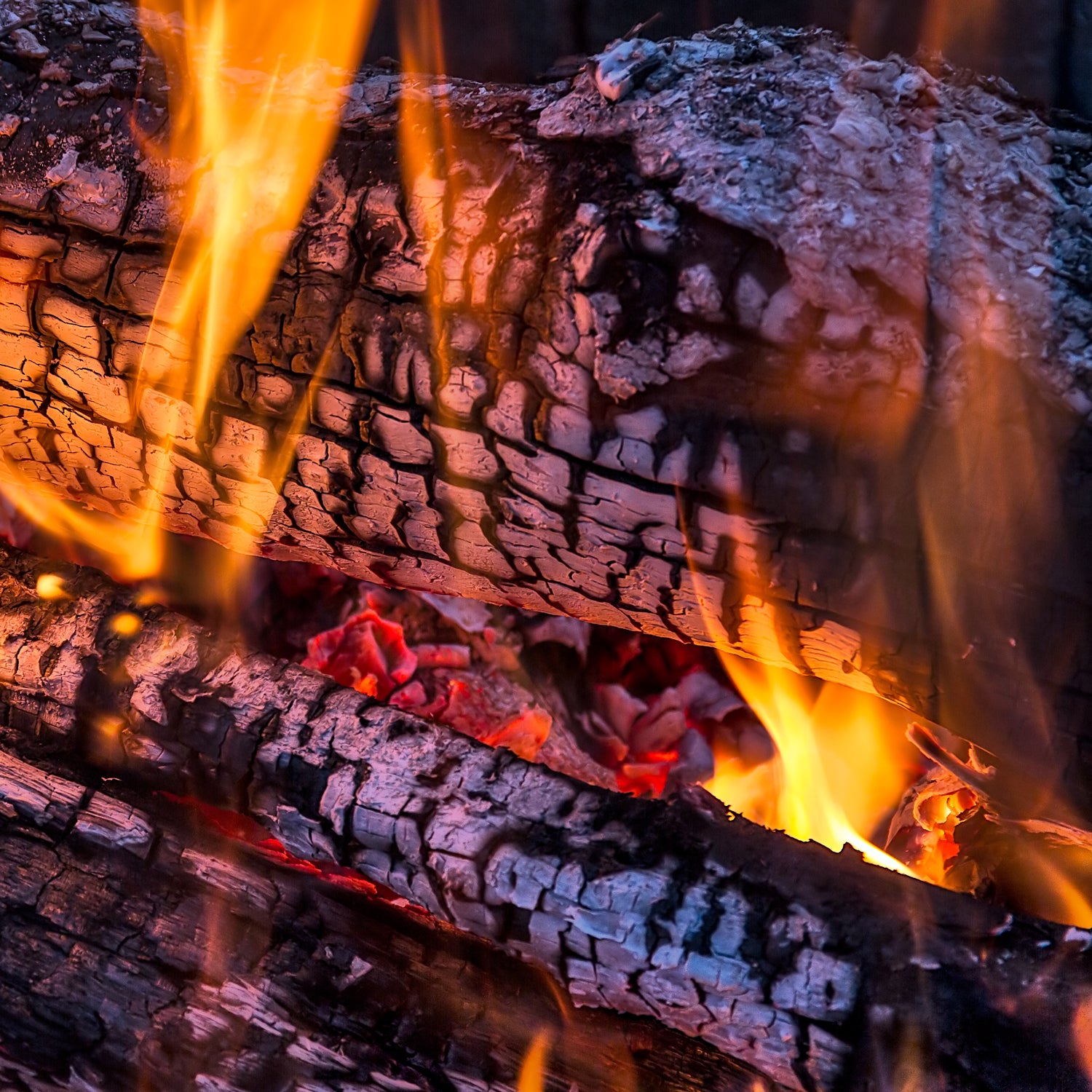 A morning campfire - inspiration for "Fireside", a smoky wax melt bar