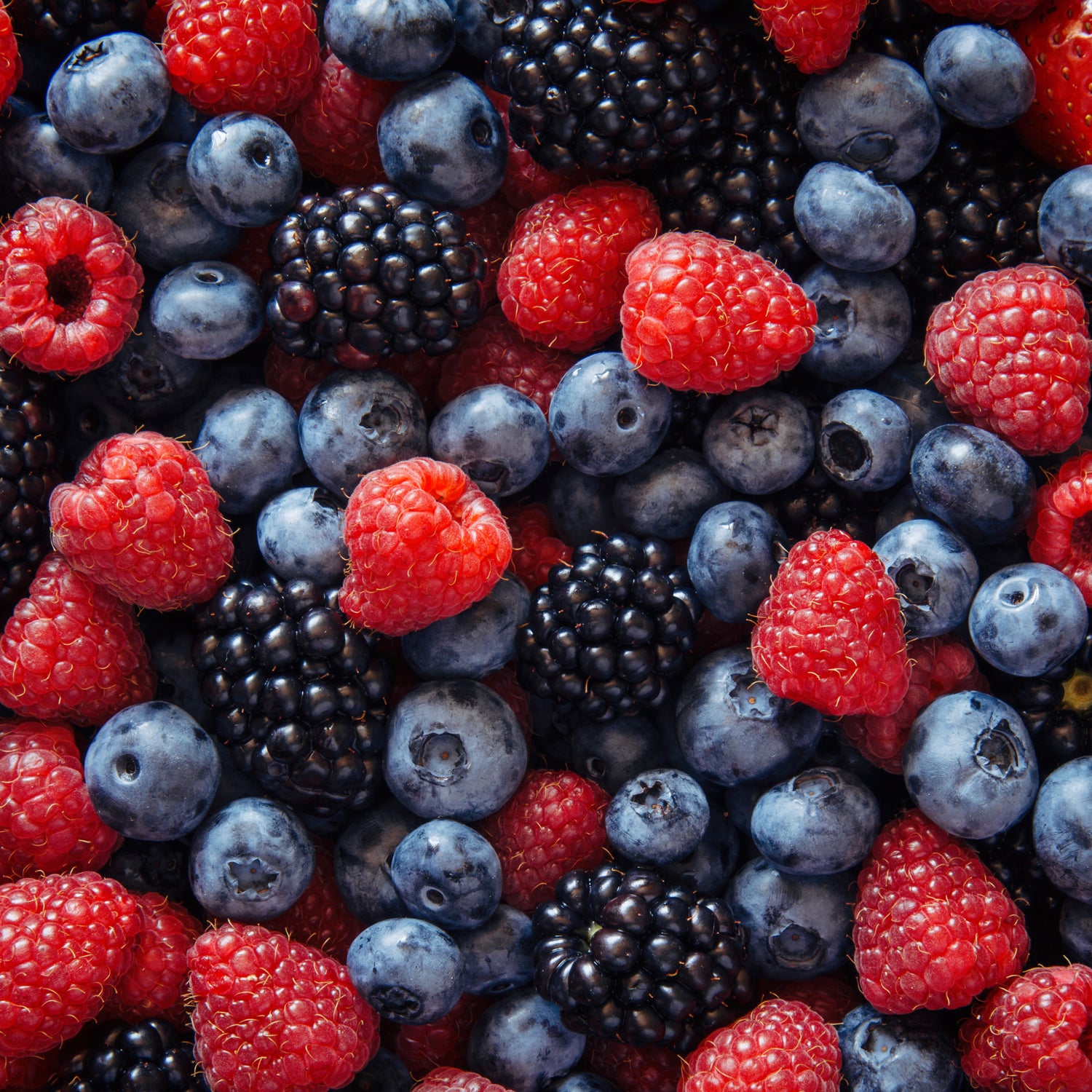A close up of blueberries and blackberries with a scent of Tuscany Candle's Fruit Smoothie Long-Lasting Scented Jar Candle (18 oz).