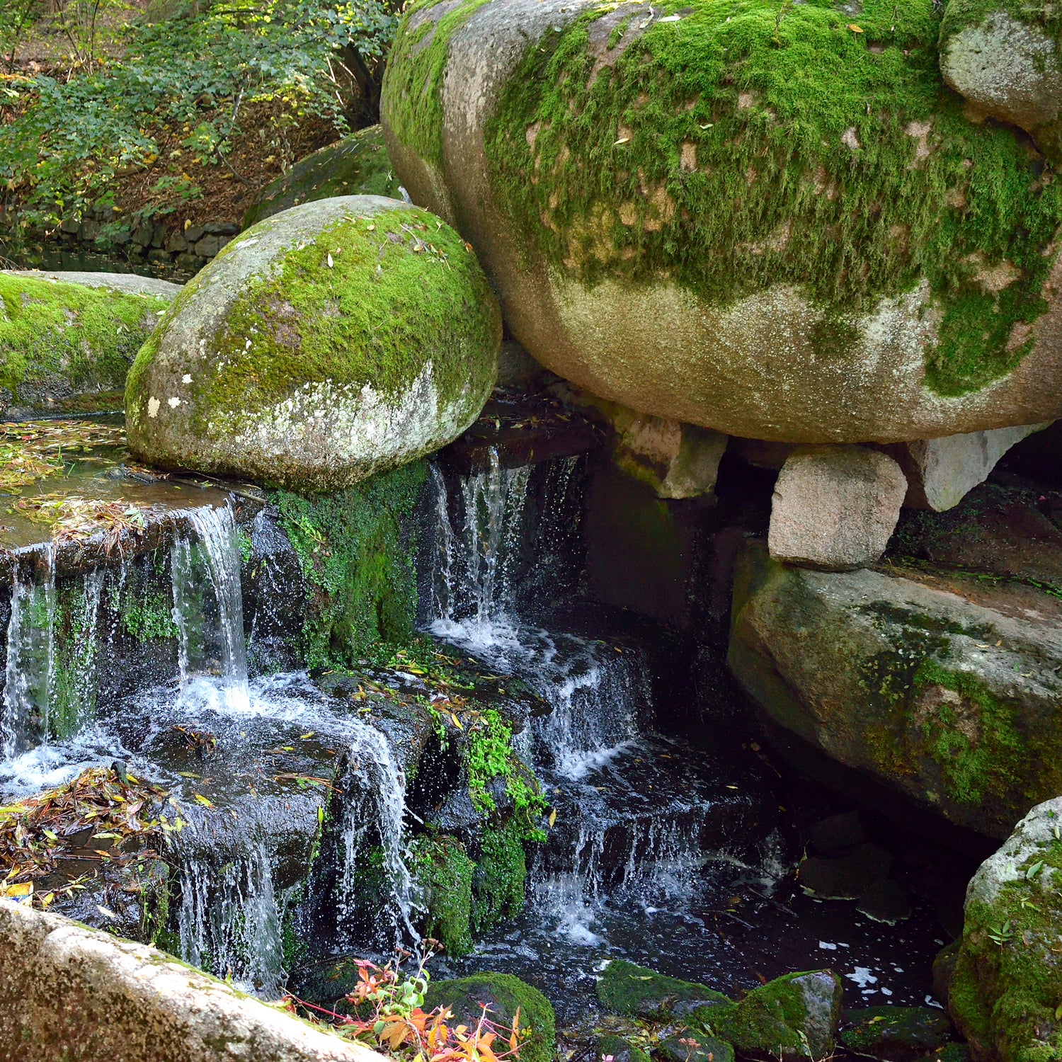 A small waterfall in a wooded area, surrounded by the soothing scents of essential oils from the Gray Stone Scented Jar Candle (15 oz) – Homme + Heritage Collection by Tuscany Candle.