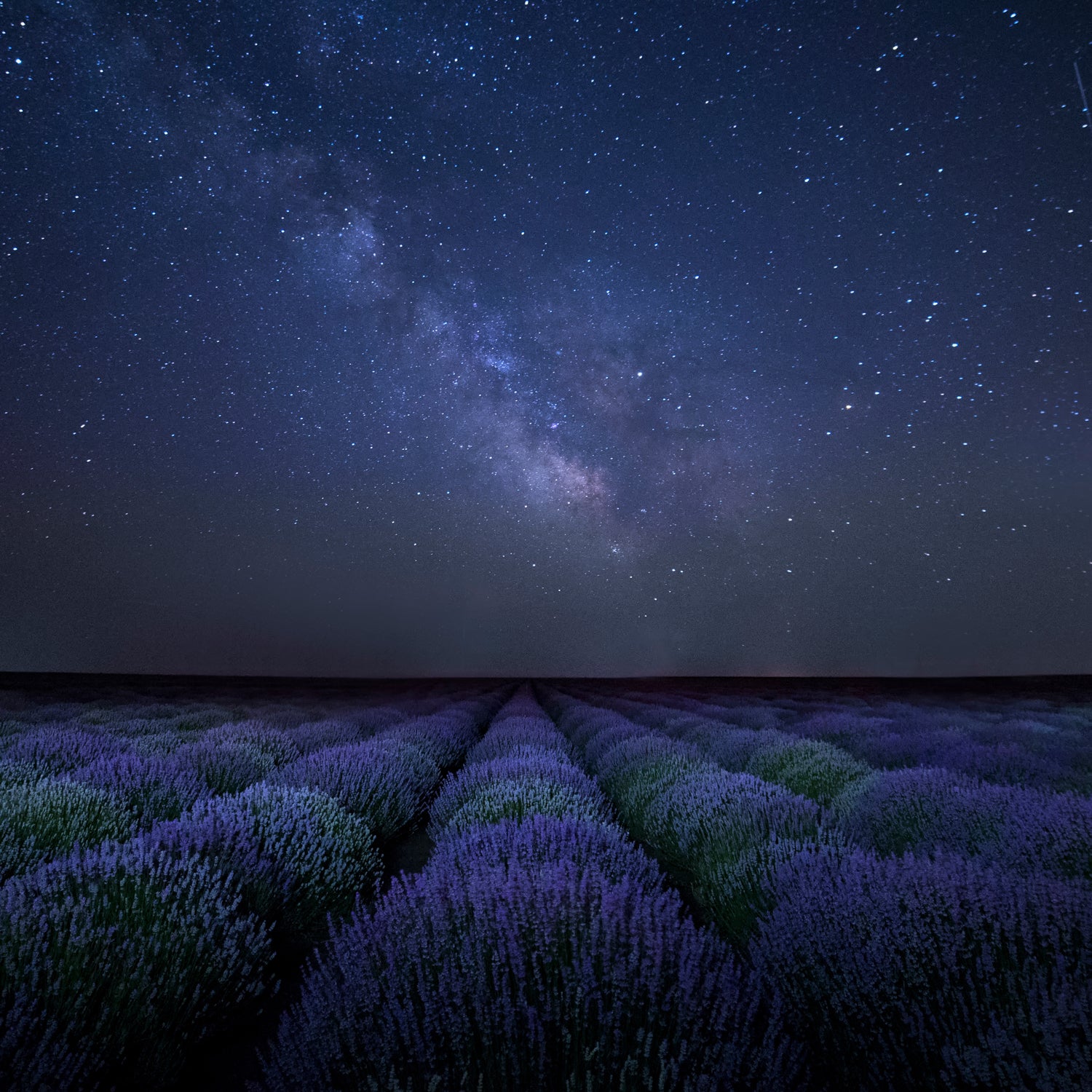 Immerse yourself in the serene beauty of Tuscany Candle's Midnight Lavender Scented Jar Candle (12 oz) from the Serene Clean collection, while experiencing the soothing ambiance created by our odor control candle.