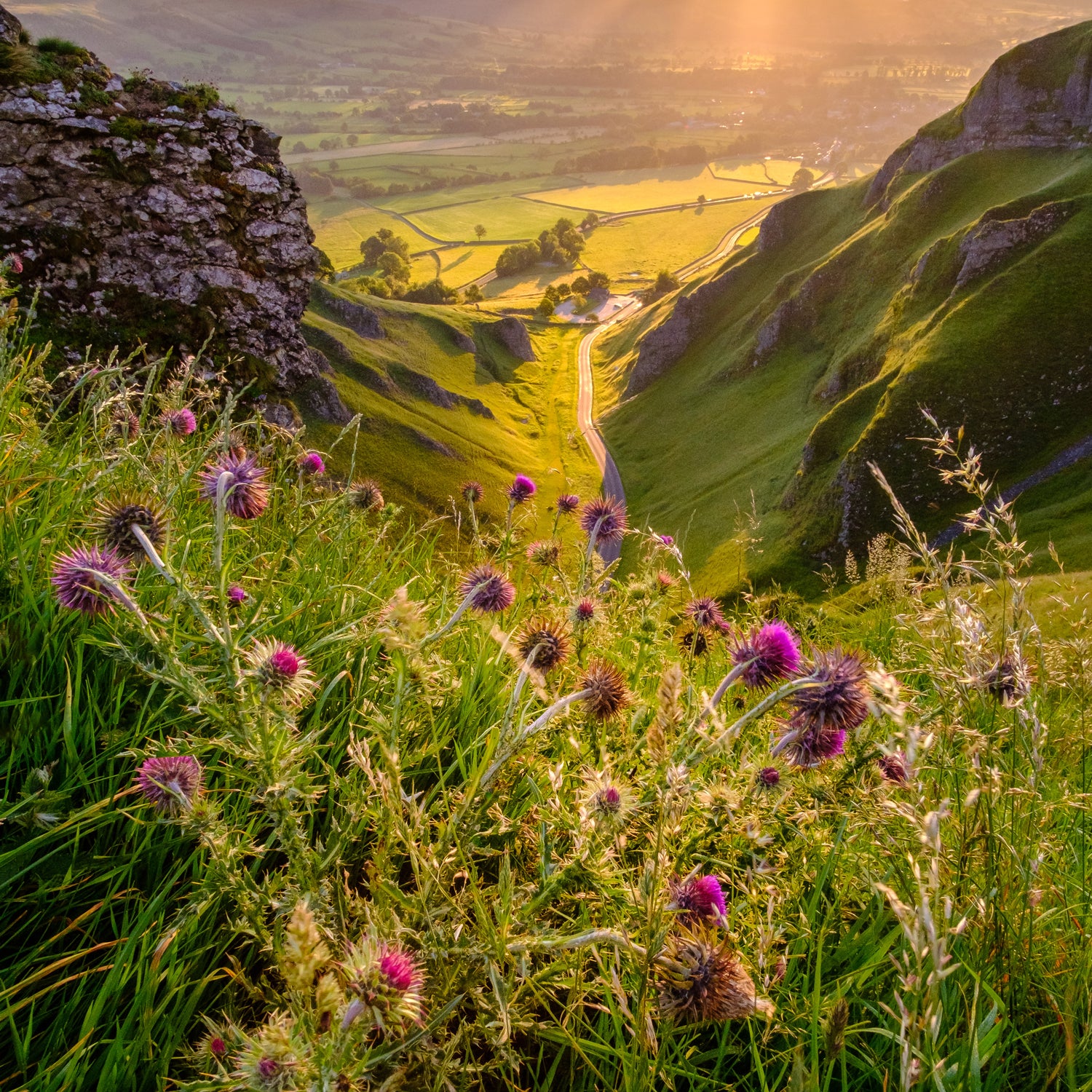 The sun is shining over a valley with Mountain Thistle Scented Jar Candle (15 oz) from the Homme + Heritage Collection by Tuscany Candle, emitting fragrances of essential oils.
