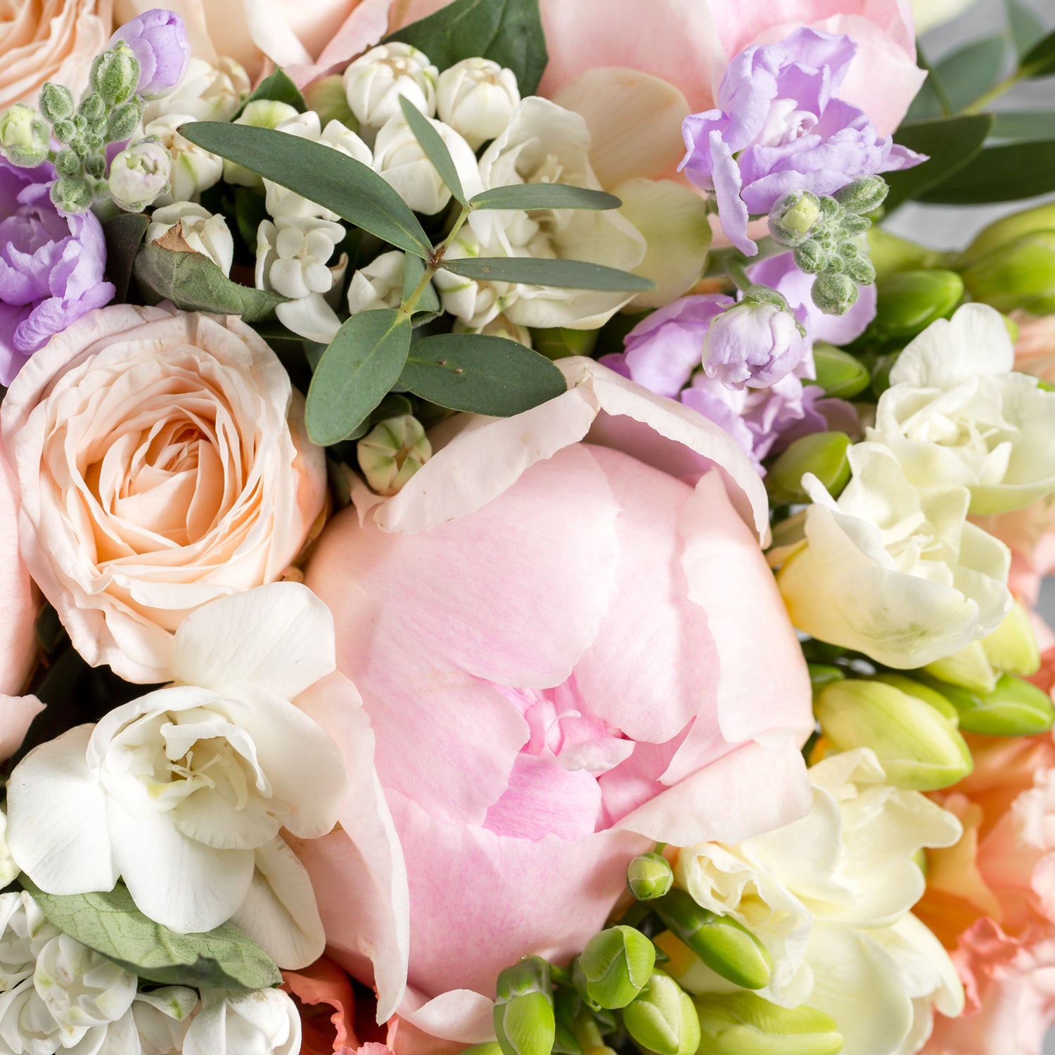 A still life of Peony Blossoms, the inspiration for our wax melt bar of that name