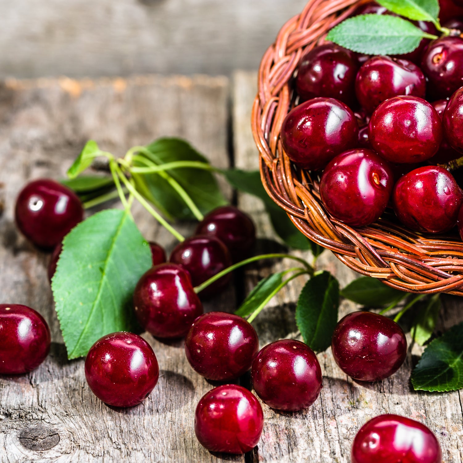A basket of Tuscany Candle® EVD Sweet Cherry Long-Lasting Scented Jar Candles (14 oz) on a wooden surface with some candles spilled over.