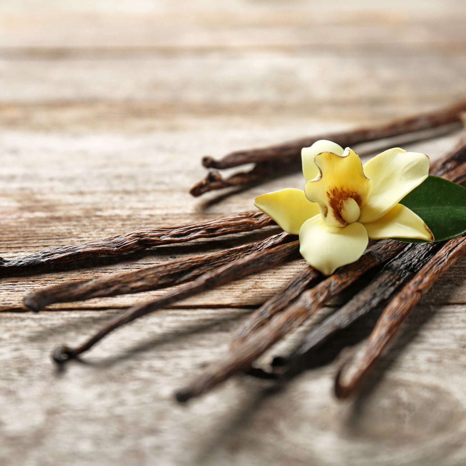 Amber Vanilla Scented Jar Candle (12 oz) from the Serene Clean Collection by Tuscany Candle® EVD and a flower on a wooden table.