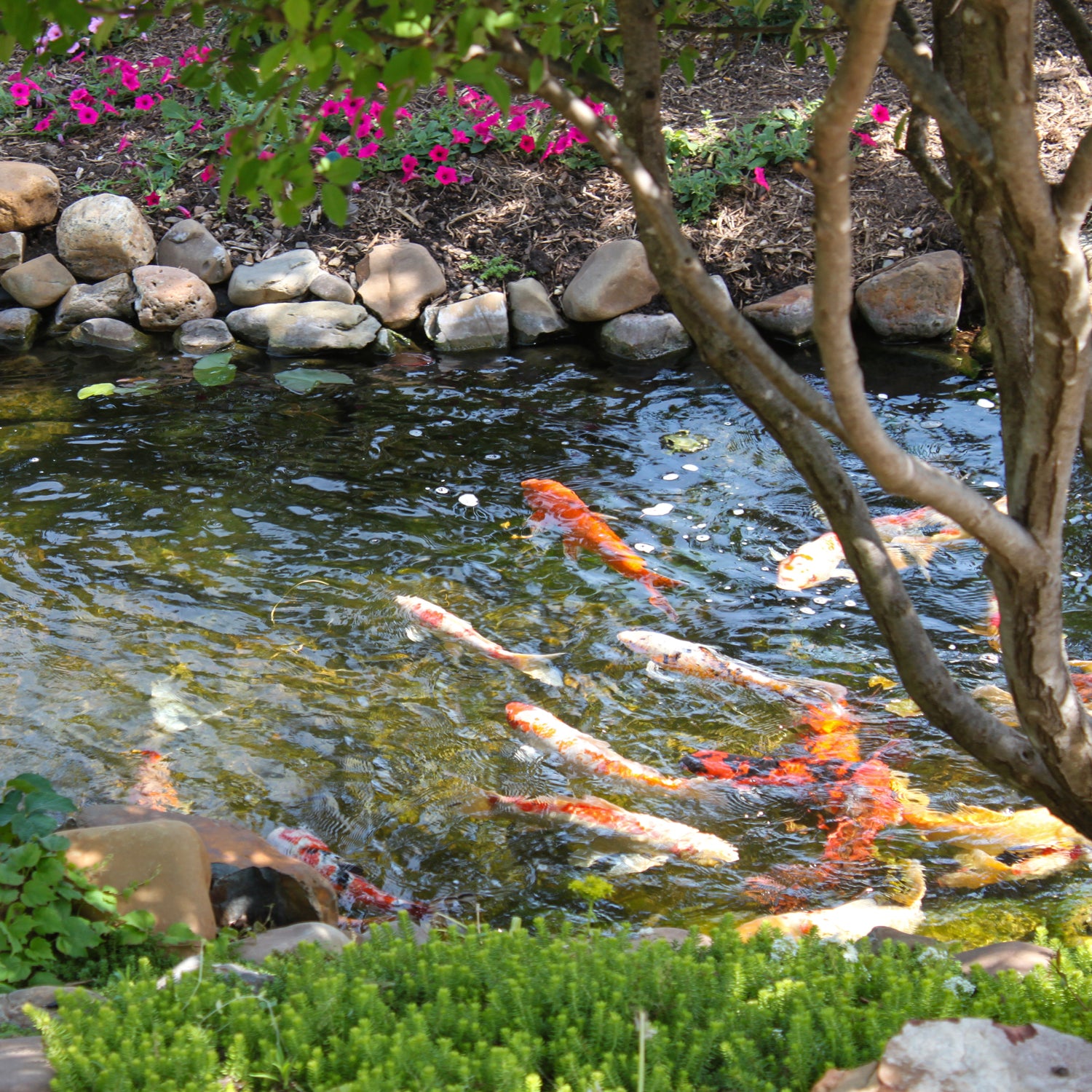 Tuscany Candle's Water Garden Long-Lasting Scented Jar Candle (14 oz) are swimming in a glass vessel.