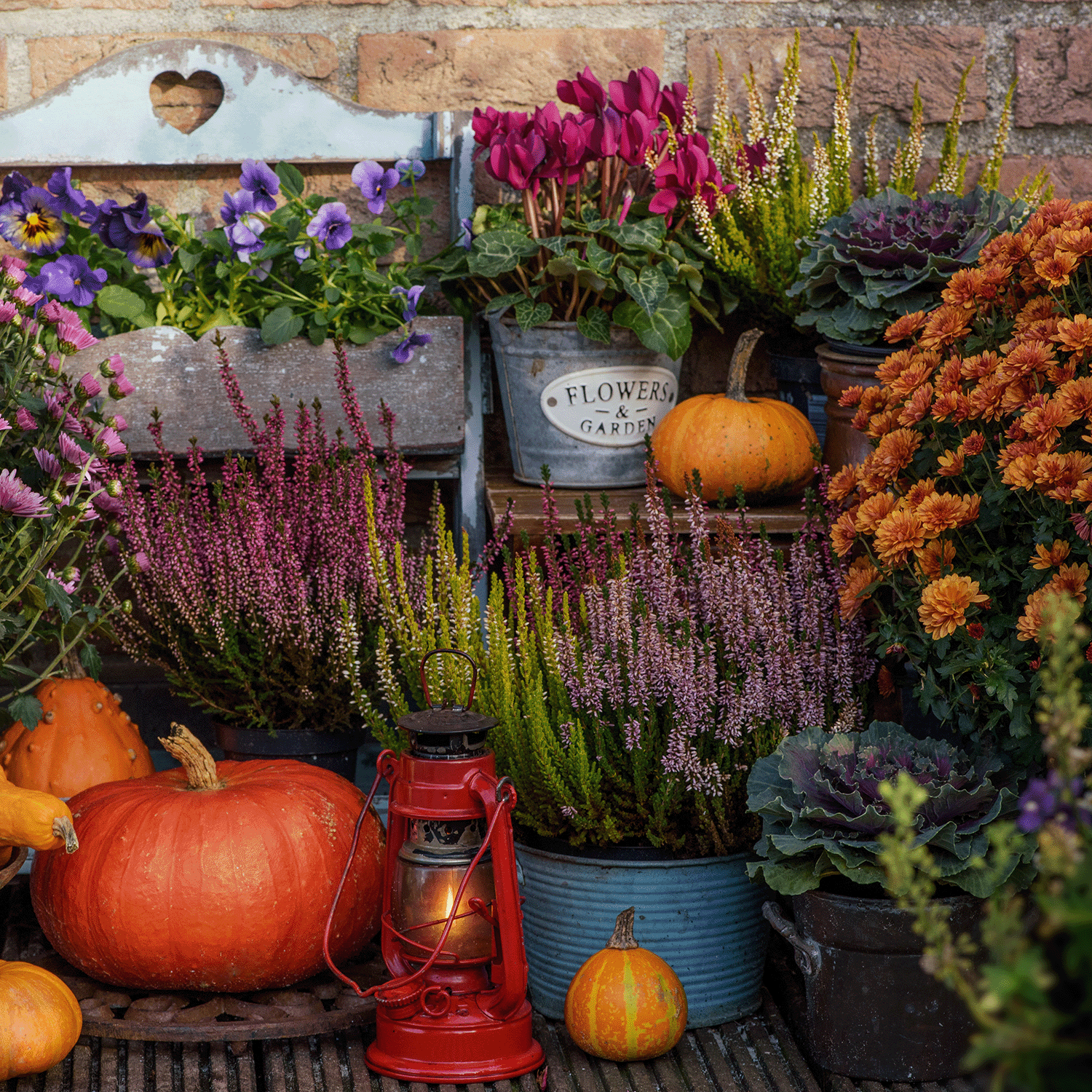 A colorful arrangement of Autumn Blossoms and pumpkins is placed on wooden steps, featuring a red lantern, various potted plants, and the Autumn Blossoms Long-Lasting Scented Jar Candle (14 oz) by Tuscany Candle® SEASONAL against a brick wall backdrop.