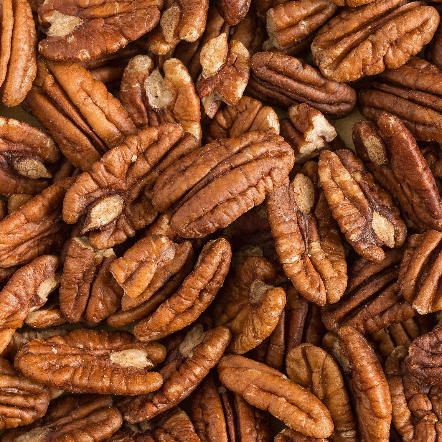 Close-up of a pile of raw pecan nuts in their natural brown color with visible ridges, reminiscent of the warm, comforting fragrance of a Happy Harvest Long-Lasting Scented Jar Candle (18 oz) from the Gather Together Collection by Tuscany Candle® SEASONAL.